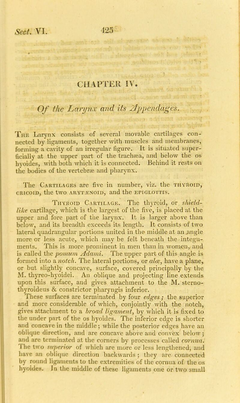 CHAPTER IV. Of the Larynx and its Appendages. The Larynx consists of several movable cartilages con- nected by ligaments, together with muscles and membranes, forming a cavity of an irregular figure. It is situated super- ficially at the upper part of the trachsea, and below the os hyoides, with both which it is connected. Behind it rests on the bodies of the vertebrae and pharynx. The Cartilages are five in number, viz. the thyroid, cricoid, the two arytjenoid, and the epiglottis. Thyroid Cartilage. The thyroid, or shield- like cartilage, which is the largest of the five, is placed at the upper and fore part of the larynx. It is larger above than below, and its breadth exceeds its length. It consists of two lateral quadrangular portions united in the middle at an angle more or less acute, which may be felt beneath the integu- ments. This is more prominent in men than in women, and is called the pomum Adami. The upper part of this angle is formed into a notch. The lateral portions, or alee, have a plane, or but slightly concave, surface, covered principally by the M. thyreo-hyoidei. An oblique and projecting line extends upon this surface, and gives attachment to the M. sterno- thyroideus & constrictor pharyngis inferior. These surfaces are terminated by four edges; the superior and more considerable of which, conjointly with the notch, gives attachment to a broad ligament, by which it is fixed to the under part of the os hyoides. The inferior edge is shorter and concave in the middle; while the posterior edges have an oblique direction, and are concave above and convex below; and are terminated at the corners by processes called cornua. The two superior of which are more or less lengthened, and have an oblique direction backwards ; they are connected by round ligaments to the extremities of the cornua of the os hyoides. Jn the middle of these ligaments one or two small