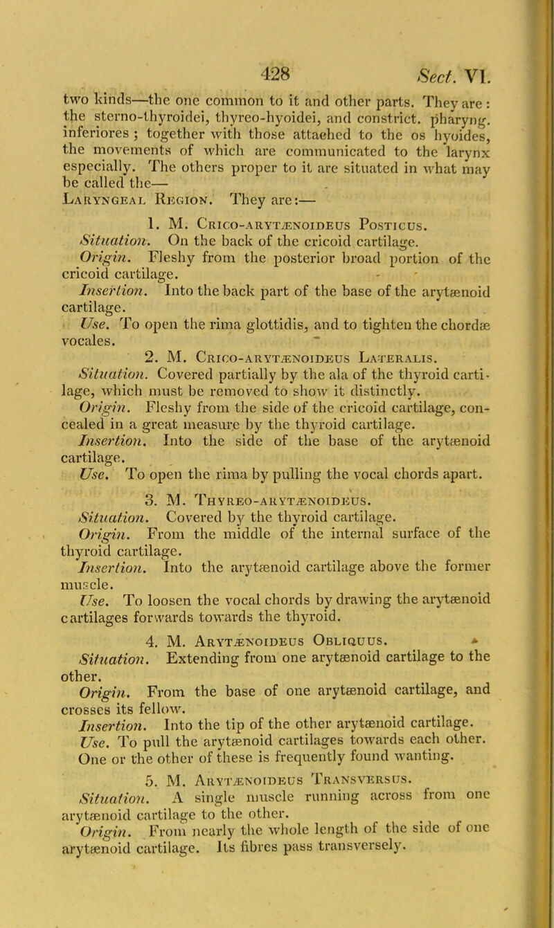 two kinds—the one common to it and other parts. They are : the sterno-thyroidei, thyreo-hyoidei, and constrict, pharyng. inferiores ; together with those attached to the os hyoides, the movements of which are communicated to the larynx especially. The others proper to it are situated in what may he called the— Laryngeal Region. They arc:— 1. M. Crico-arytjenoideus Posticus. Situation. On the back of the cricoid cartilage. Origin. Fleshy from the posterior broad portion of the cricoid cartilage. Insertion. Into the back part of the base of the arytaenoid cartilage. Use. To open the rima glottidis, and to tighten the chordae vocales. 2. M. Crioo-arytjenoideus Lateralis. Situation. Covered partially by the ala of the thyroid carti- lage, which must be removed to show it distinctly. Origin. Fleshy from the side of the cricoid cartilage, con- cealed in a great measure by the thyroid cartilage. Insertion. Into the side of the base of the arytaenoid cartilage. Use. To open the rima by pulling the vocal chords apart. \ 3. M. Thyreo-aryt;enoidkus. Situation. Covered by the thyroid cartilage. Origin. From the middle of the internal surface of the thyroid cartilage. Insertion. Into the arytaenoid cartilage above the former muscle. Use. To loosen the vocal chords by drawing the arytaenoid cartilages forwards towards the thyroid. 4. M. Aryt^noideus Obliquus. * Situation. Extending from one arytaenoid cartilage to the other. Origin. From the base of one arytaenoid cartilage, and crosses its fellow. Insertion. Into the tip of the other arytaenoid cartilage. Use. To pull the arytaenoid cartilages towards each other. One or the other of these is frequently found wanting. 5. M. Arytjenoideus Transversus. Situation. A single muscle running across from one arytaenoid cartilage to the other. Origin. From nearly the whole length of the side of one arytaenoid cartilage. Its fibres pass transversely.
