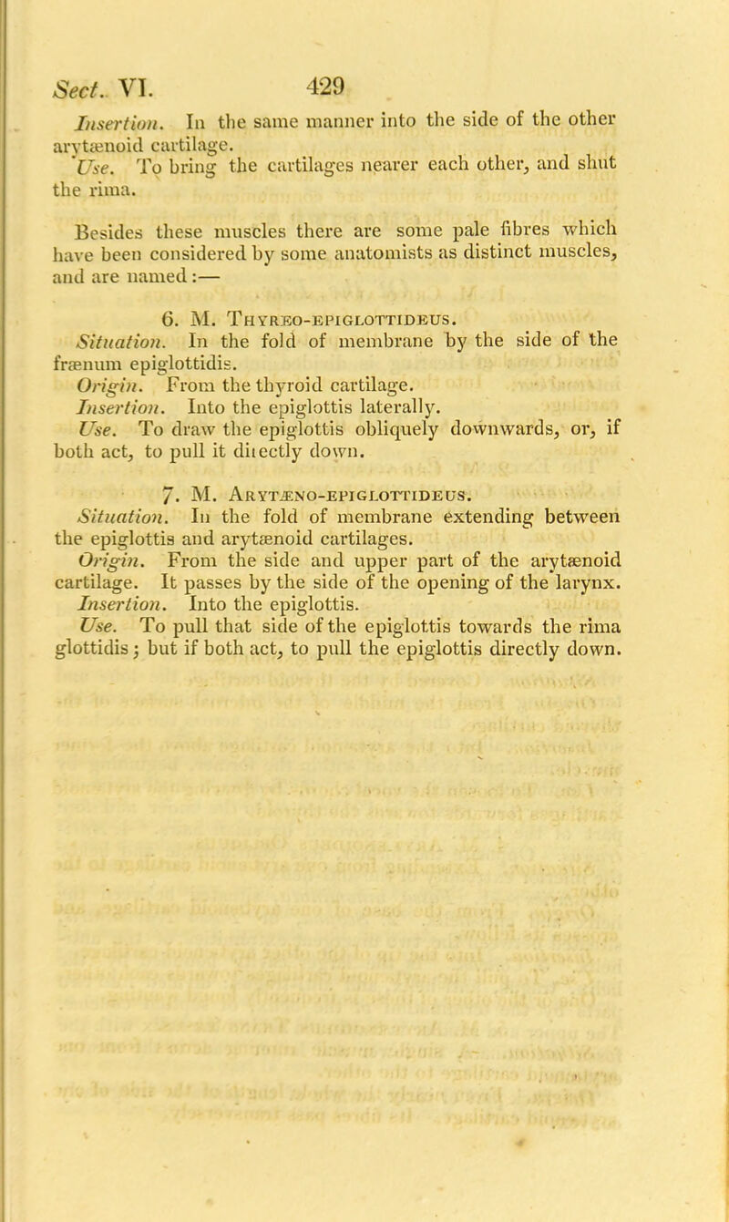 Insertion. In the same manner into the side of the other arytaenoid cartilage. Use. To bring the cartilages nearer each other, and shut the rima. Besides these muscles there are some pale fibres which have been considered by some anatomists as distinct muscles, and are named :— 6. M. Thyreo-epiglottideus. Situation. In the fold of membrane by the side of the fraenum epiglottidis. Origin. From the thyroid cartilage. Insertion. Into the epiglottis laterally. Use. To draw the epiglottis obliquely downwards, oi’, if both act, to pull it diiectly down. /. M. ARYTiENO-EPIGLOTTIDEUS. Situation. In the fold of membrane extending between the epiglottis and arytaenoid cartilages. Origin. From the side and upper part of the arytaenoid cartilage. It passes by the side of the opening of the larynx. Insertion. Into the epiglottis. Use. To pull that side of the epiglottis towards the rima glottidis but if both act, to pull the epiglottis directly down.