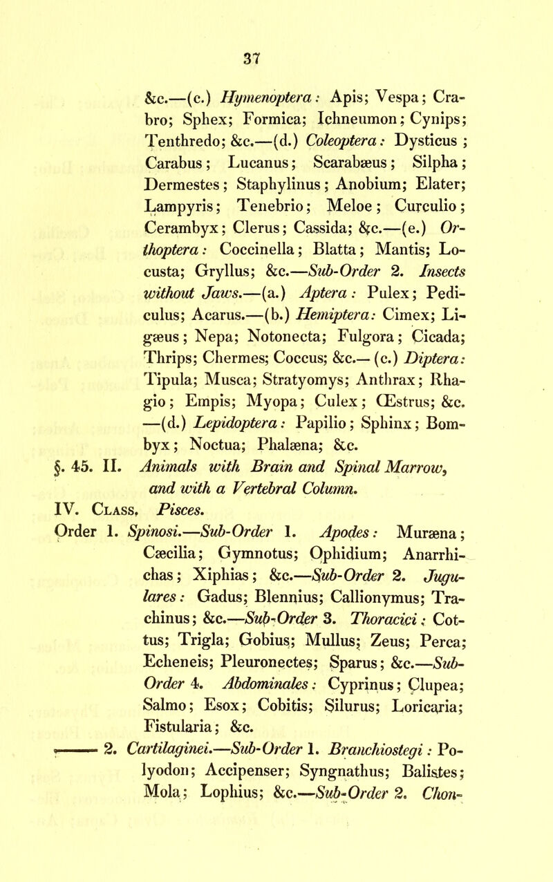 &c.—(c.) Hymenoptera: Apis; Vespa; Cra- bro; Sphex; Formica; Ichneumon; Cynips; Tenthredo; &c.—(d.) Coleoptera: Dysticus ; Carabus ; Lucanus; Scarabaeus ; Silpha; Dermestes; Staphylinus ; Anobium; Elater; Lampyris; Tenebrio; Meloe; Curculio; Cerambyx; Clerus; Cassida; 8fc.—(e.) Or- Ihoptera: Coccinella; Blatta; Mantis; Lo- custa; Gryllus; &c.—Sub-Order 2. Insects without Jaws.—(a.) Aptwa : Pulex; Pedi- culus; Acarus.—(b.) Hemiptera: Cimex; Li- gaeus ; Nepa; Notonecta; Fulgora; Cicada; Thrips; Chermes; Coccus; &c.— (c.) Diptera: Tipula; Musca; Stratyomys; Anthrax; Rha- gio; Empis; Myopa; Culex; CEstrus; &c. —(d.) Lepidoptera: Papilio; Sphinx; Bom- byx; Noctua; Phalsena; &c. §. 45. II. Animals with Brain and Spinal Marrow, and with a Vertebral Column. IV. Class, Pisces. Order 1. Spinosi.—Sub-Order 1. Apodes: Muraena; Caecilia; Gymnotus; Ophidium; Anarrhi- chas; Xiphias; &c.—Sub-Order 2. Jugu- lar es : Gadus; Blennius; Callionymus; Tra- chinus; &c.—Sub-Order 3. Thoracici i Cot- tus; Trigla; Gobius; Mullus; Zeus; Perea; Echeneis; Pleuronectes; Sparus; &c.—Sub- Order 4. Abdominales: Cyprinus; Clupea; Salmo; Esox; Cobitis; Silurus; Loric^ria; Fistularia; &c. — 2. Cartilaginei.—Sub-Order 1. Brancliiostegi: Po- lyodon; Accipenser; Syngnathus; Balistes; Mola; Lophius; &c.—Sub-Order 2. Chon-