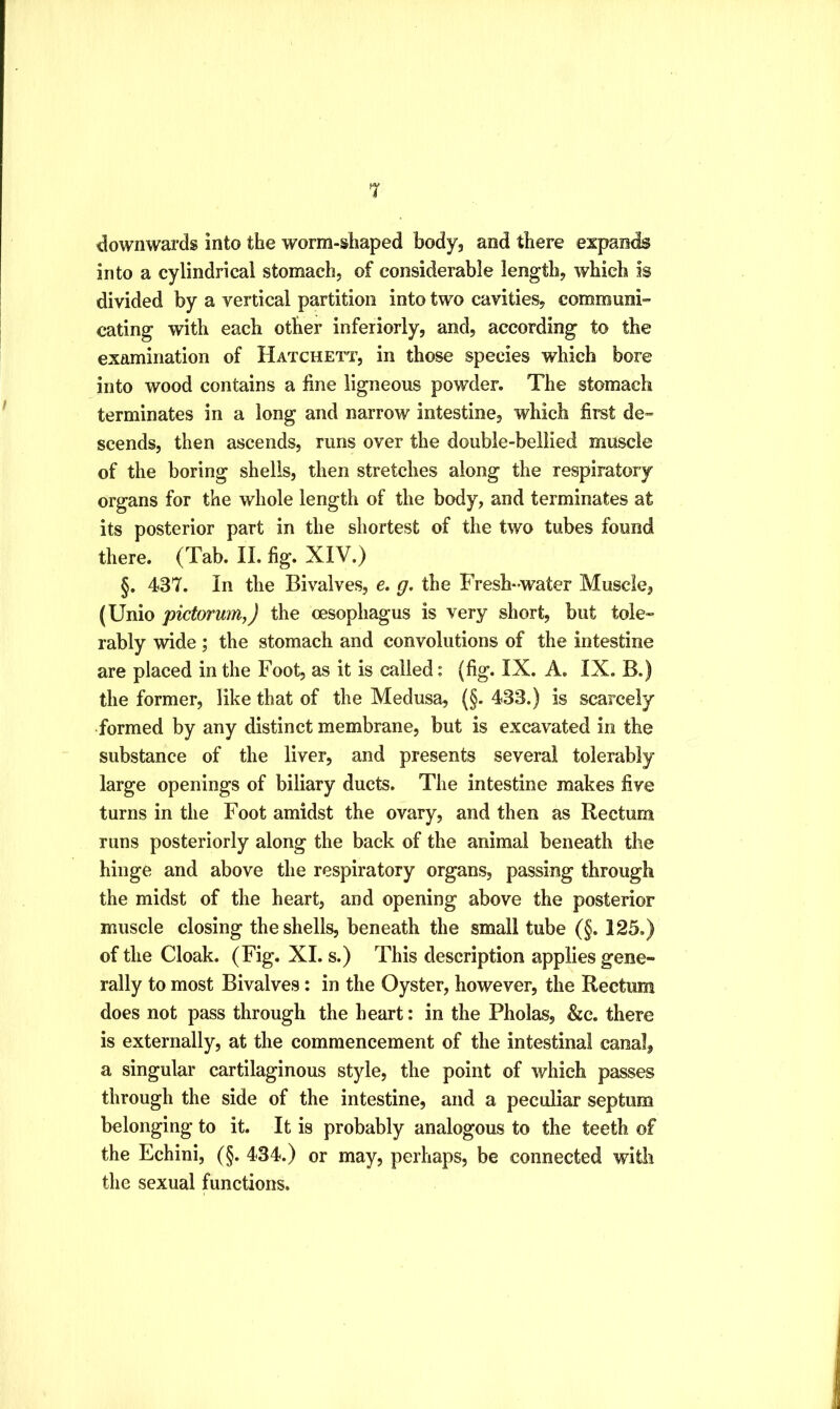 downwards into the worm-shaped body, and there expands into a cylindrical stomach, of considerable length, which is divided by a vertical partition into two cavities, communi- cating with each other inferiorly, and, according to the examination of Hatchett, in those species which bore into wood contains a line ligneous powder. The stomach terminates in a long and narrow intestine, which first de- scends, then ascends, runs over the double-bellied muscle of the boring shells, then stretches along the respiratory organs for the whole length of the body, and terminates at its posterior part in the shortest of the two tubes found there. (Tab. II. fig. XIV.) §. 437. In the Bivalves, e. g, the Fresh-water Muscle, (Unio pictormn,) the oesophagus is very short, but tole- rably wide; the stomach and convolutions of the intestine are placed in the Foot, as it is called: (fig. IX. A. IX. B.) the former, like that of the Medusa, (§. 433.) is scarcely formed by any distinct membrane, but is excavated in the substance of the liver, and presents several tolerably large openings of biliary ducts. The intestine makes five turns in the Foot amidst the ovary, and then as Rectum runs posteriorly along the back of the animal beneath the hinge and above the respiratory organs, passing through the midst of the heart, and opening above the posterior muscle closing the shells, beneath the small tube (§. 125.) of the Cloak. (Fig. XL s.) This description applies gene- rally to most Bivalves: in the Oyster, however, the Rectum does not pass through the heart: in the Pholas, &c. there is externally, at the commencement of the intestinal canal, a singular cartilaginous style, the point of which passes through the side of the intestine, and a peculiar septum belonging to it. It is probably analogous to the teeth of the Echini, (§. 434.) or may, perhaps, be connected with the sexual functions.