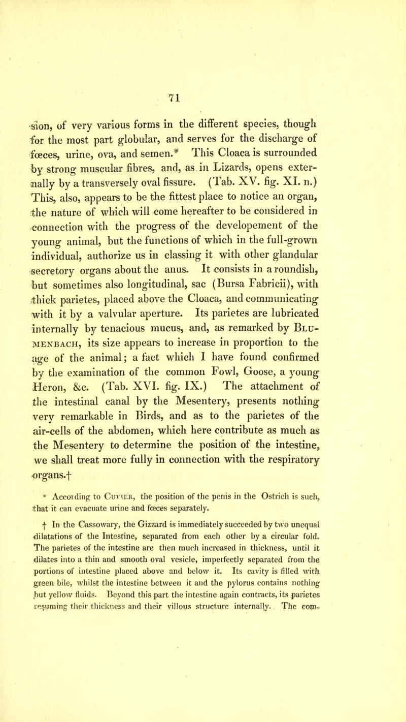 slon, of very various forms in the different species, thougli for the most part globiiiar, and serves for the discharge of foeces, urine, ova, and semen.* This Cloaca is surrounded by strong muscular fibres, and, as in Lizards, opens exter- nally by a transversely oval fissure. (Tab. XV. fig. XI. n.) This, also, appears to be the fittest place to notice an organ, the nature of which will come hereafter to be considered in connection with the progress of the developement of the young animal, but the functions of which in the full-grown individual, authorize us in classing it with other glandular secretory organs about the anus. It consists in a roundish, but sometimes also longitudinal, sac (Bursa Fabricii), with thick parietes, placed above the Cloaca, and communicating with it by a valvular aperture. Its parietes are lubricated internally by tenacious mucus, and, as remarked by Blu- MENBACH, its size appears to increase in proportion to the age of the animal; a fact which I have found confirmed by the examination of the common Fowl, Goose, a }Oung Fleron, &c. (Tab. XVI. fig. IX.) The attachment of the intestinal canal by the Mesentery, presents nothing very remarkable in Birds, and as to the parietes of the air-cells of the abdomen, which here contribute as much as the Mesentery to determine the position of the intestine, we shall treat more fully in connection with the respiratory crgans.f * According to Cuvier, tlie position of the penis in the Ostrich is such, that it can evacuate urine and foeces separately. •}■ In the Cassowary, the Gizzard is immediately succeeded by two unequal dilatations of the Intestine, separated from each other by a circular fold. The parietes of the intestine are then much increased in thickness, until it dilates into a thin and smooth oval vesicle, imperfectly separated from the portions of intestine placed above and below it. Its cavity is filled with green bile, whilst the intestine between it and the pylorus contains nothing but yellow fluids. Beyond this part the intestine again contracts, its :parietes resuming their thickness and their villous structure internally. The com-