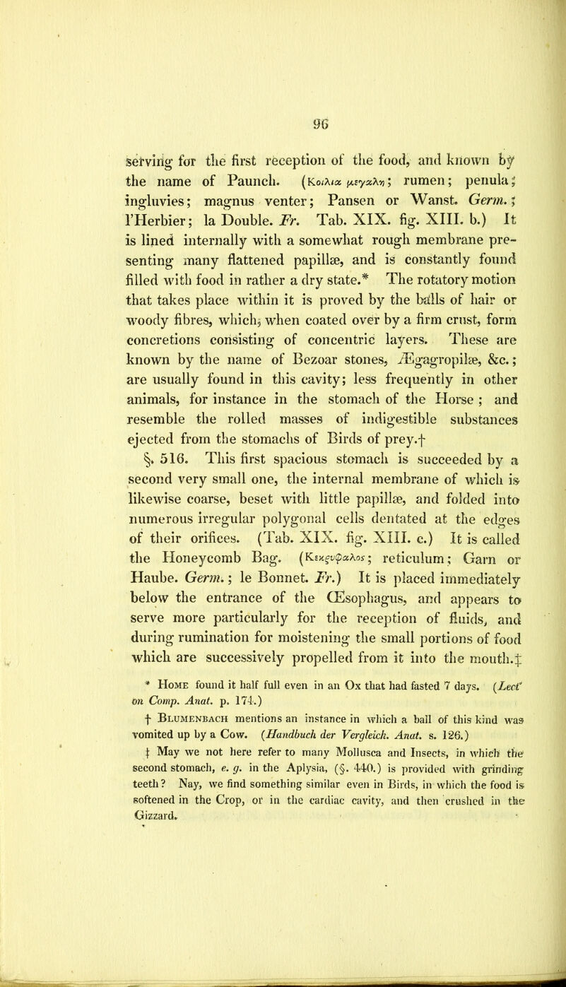 setviiig for tlie first rfeception of the food, and kiiown hf the name of Paunch. {koiXkx jj^syscXyt; rumen; peiiula^ ingluvies; magnus venter; Pansen or Wanst. Germ.% I’Herbier; la Double. Fr, Tab. XIX. fig. XIII. b.) It is lined internally with a somewhat rough membrane pre- senting many flattened papillae, and is constantly found filled with food in rather a dry state.* The rotatory motion that takes place within it is proved by the balls of hair or woody fibres, which, when coated over by a firm crust, form concretions consisting of concentric layers. These are known by the name of Bezoar stones, jTSgagropilse, &c.; are usually found in this cavity; less frequently in other animals, for instance in the stomach of the Horse ; and resemble the rolled masses of indigestible substances ejected from the stomachs of Birds of prey.f 516. This first spacious stomach is succeeded by a second very small one, the internal membrane of which is likewise coarse, beset with little papillse, and folded into numerous irregular polygonal cells dentated at the edges of their orifices. (Tab. XIX. fig. XIII. c.) It is called the Honeycomb Bag. (^Ksk^v^xKos; reticulum; Garn or Haube. Genn^; le Bonnet. Fr.) It is placed immediately below the entrance of the CEsophagus, and appears to serve more particularly for the reception of fluids, and during rumination for moistening the small portions of food which are successively propelled from it into the mouth.J * Home found it half full even in an Ox that had fasted 7 days. (Lect on Comp. Anat. p. 174.) f Blumenbach mentions an instance in which a ball of this kind was vomited up by a Cow. (Handbuch der Vergleich. Anat. s. 126.) t May we not here refer to many Mollusca and Insects, in which the second stomach, e. g. in the Aplysia, (§. 440.) is provided with grinding teeth? Nay, we find something similar even in Birds, in which the food is softened in the Crop, or in the cardiac cavity, and then crushed in the Gizzard.