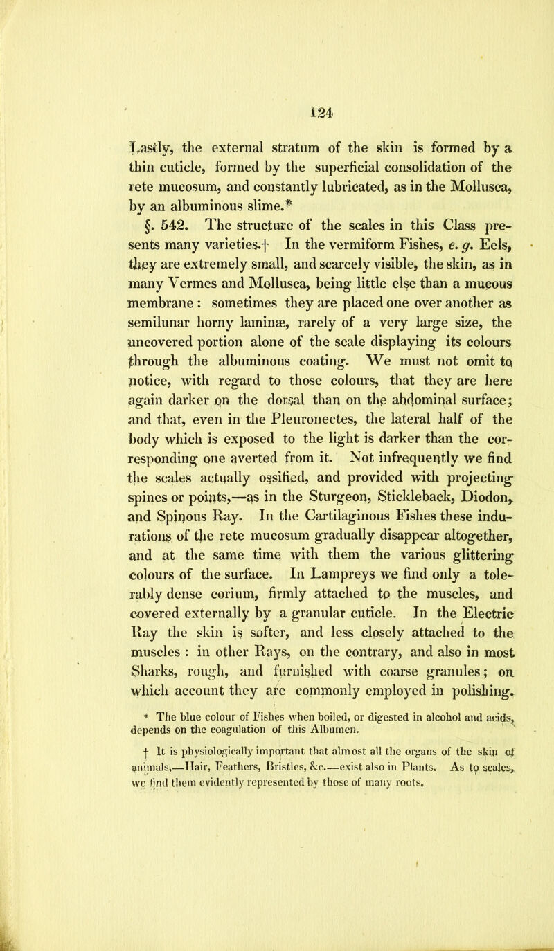 3Lasily, the external stratum of the skin is formed by a thin cuticle, formed by the superficial consolidation of the rete mucosum, and constantly lubricated, as in the Mollusca, by an albuminous slime.^ §. 542. The structure of the scales in this Class pre- sents many varieties.f In the vermiform Fishes, e. g. Eels, tliey are extremely small, and scarcely visible, the skin, as in many Vermes and Mollusca, being little else than a mucous membrane : sometimes they are placed one over another as semilunar horny laminse, rarely of a very large size, the uncovered portion alone of the scale displaying its colours through the albuminous coating. We must not omit to notice, with regard to those colours, that they are here again darker qn the dorsal than on thq abdoniii>al surface; and that, even in the Pleuronectes, the lateral half of the body which is exposed to the light is darker than the cor- responding one averted from it. Not infrequently we find the scales actually ossified, and provided with projecting spines or points,—as in the Sturgeon, Stickleback, Diodon, and Spinous Ray. In the Cartilaginous Fishes these indu- rations of the rete mucosum gradually disappear altogether, and at the same time with them the various glittering colours of the surface, In Lampreys we find only a tole- rably dense coriuni, firmly attached to the muscles, and covered externally by a granular cuticle. In the Electric Ray the skin is softer, and less closely attached to the muscles : in other Rays, on tlie contrary, and also in most Sharks, rough, and furnished with coarse granules; on which account they are commonly employed in polishing. * The blue colour of Fislifes when boiled, or digested in alcohol and acidsj^ depends on the coagulation of this Albumen. I It is physiologically important that almost all the organs of the s^in o|~ animals,—Hair, Feathers, Bristles, &c—exist also in Plants^ As tp scales, we find them evidently represented by those of many roots.