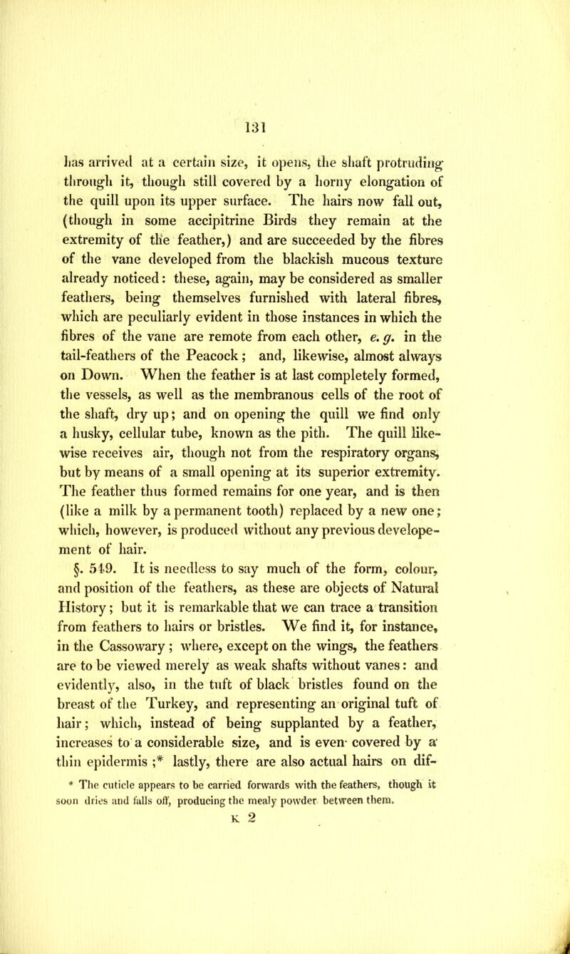 lias arrived at a certain size, it opens, tlie shaft protruding^ through it, though still covered by a liorny elongation of the quill upon its upper surface. The hairs now fall out, (though in some accipitrine Birds they remain at the extremity of tile feather,) and are succeeded by the fibres of the vane developed from the blackish mucous texture already noticed: these, again, may be considered as smaller feathers, being themselves furnished with lateral fibres, which are peculiarly evident in those instances in which the fibres of the vane are remote from each other, e. g, in the tail-feathers of the Peacock; and, likewise, almost always on Down. When the feather is at last completely formed, the vessels, as well as the membranous cells of the root of the shaft, dry up J and on opening the quill we find only a husky, cellular tube, known as the pith. The quill like- wise receives air, though not from the respiratory organs, but by means of a small opening at its superior extremity. The feather thus formed remains for one year, and is then (like a milk by a permanent tooth) replaced by a new one; which, however, is produced without any previous develope- ment of hair. §. 549. It is needless to say much of the form, colour, and position of the feathers, as these are objects of Natural History; but it is remarkable that we can trace a transition from feathers to hairs or bristles. We find it, for instance, in the Cassowary ; where, except on the wings, the feathers are to be viewed merely as weak shafts without vanes: and evidently, also, in the tuft of black bristles found on the breast of the Turkey, and representing an original tuft of hair; which, instead of being supplanted by a feather, increases to a considerable size, and is even- covered by a* thin epidermis ;* lastly, there are also actual hairs on dif- * The cuticle appears to be carried forwards with the feathers, though it soon dries and falls off, producing the mealy powder between them.