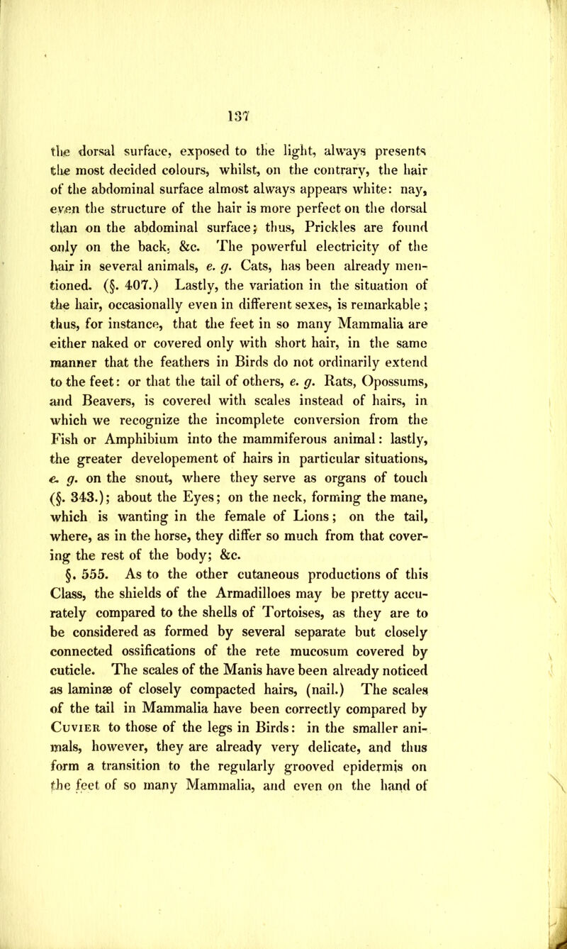 13T tlie dorsal surface, exposed to the light, always presents tli€ most decided colours, whilst, on the contrary, the hair of the abdominal surface almost always appears white: nay, ey.en the structure of the hair is more perfect on the dorsal than on the abdominal surface; thus. Prickles are found only on the back. &c. The powerful electricity of the lifUir in several animals, e. g. Cats, has been already men- tioned. (§. 407.) Lastly, the variation in the situation of the hair, occasionally even in different sexes, is remarkable ; thus, for instance, that the feet in so many Mammalia are either naked or covered only with short hair, in the same manner that the feathers in Birds do not ordinarily extend to the feet: or that the tail of others, e. g. Rats, Opossums, and Beavers, is covereil with scales instead of hairs, in which we recognize the incomplete conversion from the Fish or Amphibium into the mammiferous animal; lastly, the greater developement of hairs in particular situations, e. g. on the snout, where they serve as organs of touch (§. 343.); about the Eyes; on the neck, forming the mane, which is wanting in the female of Lions; on the tail, where, as in the horse, they differ so much from that cover- ing the rest of the body; &c. §. 555. As to the other cutaneous productions of this Class, the shields of the Armadilloes may be pretty accu- rately compared to the shells of Tortoises, as they are to be considered as formed by several separate but closely connected ossifications of the rete mucosum covered by cuticle. The scales of the Manis have been already noticed as laminse of closely compacted hairs, (nail.) The scales of the tail in Mammalia have been correctly compared by Cuvier to those of the legs in Birds: in the smaller ani- mals, however, they are already very delicate, and thus form a transition to the regularly grooved epidermis on the feet of so many Mammalia, and even on the hand of