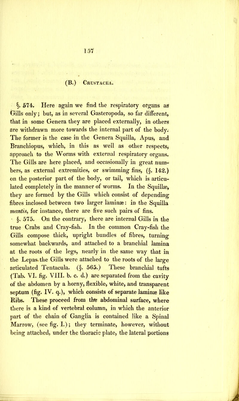 (B.) Crustacea. §. 574. Here again we find the respiratory otgans as Gills only; but, as in several Gasteropoda, so far different, that in some Genera they are placed externally, in others are withdrawn more towards the internal part of the body. The former is the case in the Genera Squilla, Apus, and Branchiopus, which, in this as well as other respects,° approach to the Worms with external respiratory organs. The Gills are here placed, and occasionally in great num- bers, as external extremities, or swimming fins, (§. 142.) on the posterior part of the body, or tail, which is articu- lated completely in the manner of worms. In the Squillae, they are formed by the Gills which consist of depending fibres inclosed between two larger laminae: in the Squilla mantis, for instance, there are five such pairs of fins. ’ §. 575. On the contrary, there are internal Gills in the true Crabs and Cray-fish. In the common Cray-fish the Gills compose thick, upright bundles of fibres, turning somewhat backwards, and attached to a branchial lamina at the roots of the legs, nearly in the same way that in the Lepas. the Gills were attached to the roots of the large articulated Tentacula. (§. 565.) These branchial tufts (Tab. VI. fig. Vni. b. c. d.) are separated from the cavity of the abdomen by a horny, flexible, white, and transparent septum (fig. IV. q.), which consists of separate laminae like Ribs. These proceed from thfe abdominal surface, where there is a kind of vertebral column, in which the anterior part of the chain of Ganglia is contained like a Spinal Marrow, (see fig. I.); they terminate, however, without being attached, under the thoracic plate, the lateral portions