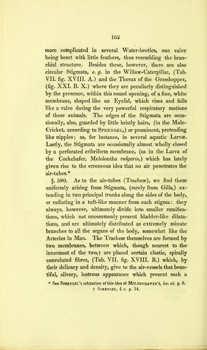 more complicated in several Water-beetles, one valve being beset with little feathers, thus resembling the bran» chial structure. Besides these, however, there are also circular Stigmata, e, g, in the Willow-Caterpillar, (Tab. VII. fig. XVIII. A.) and the Thorax of the Grasshopper, (fig. XXL B. X.) where they are peculiarly distinguished by, the presence, within this round opening, of a fine, white membrane, shaped like an Eyelid, which rises and falls like a valve during the very powerful respiratory motions of these animals. The edges of the Stigmata are occa- sionally, also, guarded by little bristly hairs, (in the Mole- Cricket, according to Sprengel,) or prominent, protruding like nipples; as, for instance, in several aquatic Larvag. Lastly, the Stigmata are occasionally almost wholly closed by a perforated cribriform membrane, (as in the Larva of the Cockchafer, Melolontha vulgaris^) which has lately given rise to the erroneous idea that no air penetrates the air-tubes.* §. 580. As to the air-tubes (Trachese), we find them? uniformly arising from Stigmata, (rarely from Gills,) ex- tending in two principal trunks along the sides of the body, or radiating in a tuft-like manner from each stigma: they always, however, ultimately divide into smaller ramifica- tions, which not uncommonly present bladder-like dilata- tions, and are ultimately distributed as extremely minute branches to all the organs of the body, somewhat like the Arteries in Man. The Tracheae themselves are formed by two membranes^ between which, though nearest to the innermost of the two,f are placed certain elastic, spirally convoluted fibres, (Tab. VII. fig. XVIII. B.) which, by their delicacy and density, give to the air-vessels that beau- tiful, silvery, lustrous appearance which present such a * See Sprengel’s refutation of this idea of Moldenhawer’s, loc. cit, p. 9, f Sprengei, I c. p, 14.