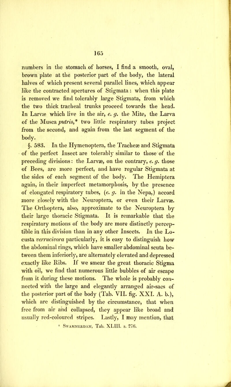 numbers in tlie stomach of horses, I find a smooth, oval, brown plate at the posterior part of the body, the lateral halves of which present several parallel lines, which appear like the contracted apertures of Stigmata: when this plate is removed we find tolerably large Stigmata, from which the two thick tracheal trunks proceed towards the head. In Larvae which live in the air, e. g, the Mite, the Larva of the Muscajow^m,* two little respiratory tubes project from the second, and again from the last segment of the body. §. 583. In the Hymenoptera, the Tracheae and Stigmata of the perfect Insect are tolerably similar to those of the preceding divisions: the Larvae, on the contrary, e. g, those of Bees, are more perfect, and have regular Stigmata at the sides of each segment of the body. The Hemiptera again, in their imperfect metamorphosis, by the presence of elongated respiratory tubes, (e. g. in the Nepa,) accord more closely with the Neuroptera, or even their Larvae. The Orthoptera, also, approximate to the Neuroptera by their large thoracic Stigmata. It is remarkable that the respiratory motions of the body are more distinctly percep- tible in this division than in any other Insects, In the Lo- custa verrucivora particularly, it is easy to distinguish how the abdominal rings, which have smaller abdominal scuta be- tween them inferiorly, are alternately elevated and depressed exactly like Ribs. If we smear the great thoracic Stigma with oil, we find that numerous little bubbles of air escape from it during these motions. The whole is probably con- nected with the large and elegantly arranged air-sacs of the posterior part of the body (Tab. VII. fig. XXL A. b.), which are distinguished by the circumstance, that when free from air and collapsed, they ^pear like broad and usually red-coloured stripes. Lastly, I may mention, that * Savammerdam, Tab. XLIII. s. 276.