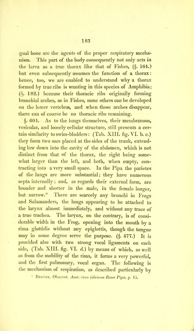 glial bone are the agents of tlie proper respiratory media-’ siism. This part of the body consequently not only acts in the larva as a true thorax like that of Fishes, (§. 164.) but even subsequently assumes the function of a thorax: hence, too, we are enabled to understand why a thorax formed by true ribs is wanting in this species of Amphibia; (§. 182.) because their thoracic ribs originally forming branchial arches, as in Fishes, none others can be developed on the lower vertebrae, and when those arches disappear, there can of course be no thoracic ribs remaining. §. 604. As to the lungs themselves, their membranous, vesicular, and loosely cellular structure, still presents a cer- tain similarity to swim-bladders: (Tab. XIII. fig, VI. b. c.) they form two sacs placed at the sides of the trunk, extend- ing low down into the cavity of the abdomen, which is not distinct from that of the thorax, the right being some- v/hat larger than the left, and both, when empty, con- tracting into a very small space. In the Pipa the parietes of the lungs are more substantial; they have numerous septa internally; and, as regards their external form, are broader and shorter in the male, in the female longer, but narrow. There are scarcely any bronchi in Frogs and Salamanders, the lungs appearing to be attached to the larynx almost immediately, and without any trace of a true trachea. The larynx, on the contrary, is of consi- derable width in the Frog, opening into the mouth by a rima glottidis without any epiglottis, though the tongue may in some degree serve the purpose. (§. 477.) It is provided also with two strong vocal ligaments on each side, (Tab. XIII. fig. VI. d.) by means of which, as well as from the mobility of the rima, it forms a very powerful, and the first pulmonary, vocal organ. The following is the mechanism of respiration, as described particularly by l)i!KYER, Olmrvnf. A?iat, circa f'abricam Raiuc Pip(B, 15.