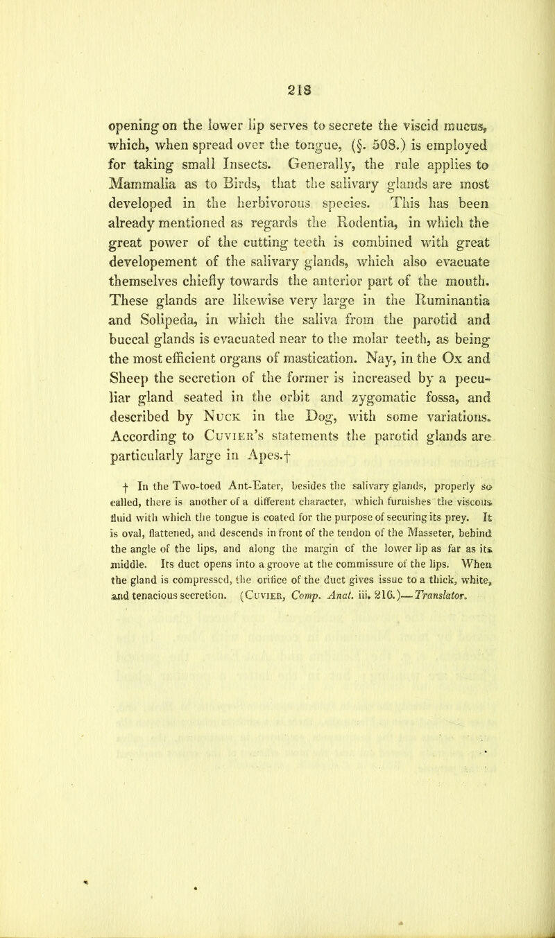 opening on the lower lip serves to secrete the viscid mucusy which, when spread over the tongue, (§. 508.) is employed for taking small Insects. Generally, the rule applies to Mammalia as to Birds, that the salivary glands are most developed in the herbivorous species. This has been already mentioned as regards the Rodentia, in which the great power of the cutting teeth is combined with great developement of the salivary glands, which also evacuate themselves chiefly towards the anterior part of the mouth. These glands are likewise very large in the Ruminantia and Solipeda, in which the saliva from the parotid and buccal glands is evacuated near to tlie molar teeth, as being the most efficient organs of mastication. Nay, in the Ox and Sheep the secretion of the former is increased by a pecu- liar gland seated in the orbit and zygomatic fossa, and described by Nuck in the Dog, with some variations. According to Cuvier’s statements the parotid glands are particularly large in Apes.f f In the Two-toed Ant-Eater, besides the salivary glands, properly so called, there is another of a different character, which furnishes the viscous, fluid with which the tongue is coated for the purpose of securing its prey. It is oval, flattened, and descends in front of the tendon of the Masseter, behind the angle of the lips, and along the margin of the lower lip as far as its, middle. Its duct opens into a groove at the commissure of the lips. When the gland is compressed, the orifice of the duct gives issue to a thick, white, and tenacious secretion. (Cuvier, Comp. Anal. \n* 2\Q.)—Translator.