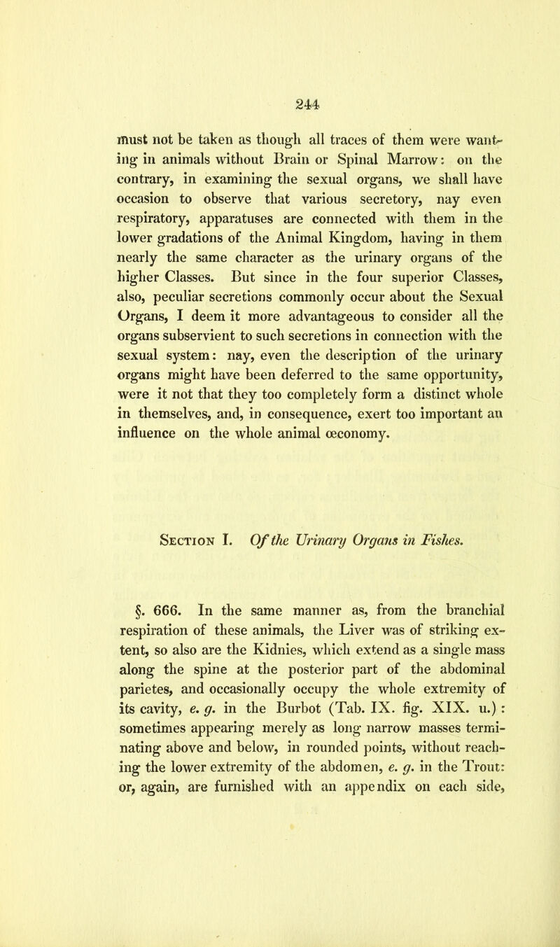 2U must not be taken as tliough all traces of them were want- ing in animals without Brain or Spinal Marrow: on the contrary, in examining the sexual organs, we shall have occasion to observe that various secretory, nay even respiratory, apparatuses are connected with them in the lower gradations of the Animal Kingdom, having in them nearly the same character as the urinary organs of the higher Classes. But since in the four superior Classes, also, peculiar secretions commonly occur about the Sexual Organs, I deem it more advantageous to consider all the organs subservient to such secretions in connection with the sexual system: nay, even the description of the urinary organs might have been deferred to the same opportunity, were it not that they too completely form a distinct whole in themselves, and, in consequence, exert too important an influence on the whole animal ceconomy. Section I. Of the Urinary Organs in Fishes. §. 666. In the same manner as, from the branchial respiration of these animals, the Liver was of striking ex» tent, so also are the Kidnies, which extend as a single mass along the spine at the posterior part of the abdominal parietes, and occasionally occupy the whole extremity of its cavity, e. g. in the Burbot (Tab. IX. fig. XIX. u.) : sometimes appearing merely as long narrow masses termi- nating above and below, in rounded points, without reach- ing the lower extremity of the abdomen, e. g. in the Trout: or, again, are furnished with an aj^pendix on each side.