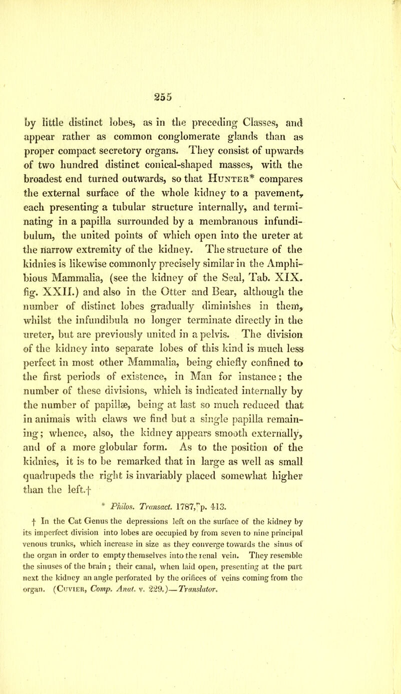 by little distinct lobes, as in tlie preceding Classes, and appear rather as common conglomerate glands than as proper compact secretory organs. They consist of upwards of two hundred distinct conical-shaped masses, with the broadest end turned outwards, so that Hunter* compares the external surface of the whole kidney to a pavement^ each presenting a tubular structure internally, and termi- nating in a papilla surrounded by a membranous infundi- bulum, the united points of which open into the ureter at the narrow extremity of the kidney. The structure of the kidnies is likewise commonly precisely similar in the Amphi- bious Mammalia, (see the kidney of the Seal, Tab. XIX. fig. XXII.) and also in the Otter and Bear, although the number of distinct lobes gradually diminishes in them, whilst the infundibula no longer terminate directly in the ureter, but are previously united in a pelvis. The division of the kidney into separate lobes of this kind is much less perfect in most other Mammalia, being chiefly confined to the first periods of existence, in Man for instance; the number of these divisions, which is indicated internally by the number of papillee, being at last so much reduced that in animals with claws we find but a single papilla remain- ing ; whence, also, the kidney appears smooth externally, and of a more globular form. As to the position of the kidnies, it is to be remarked that in large as well as small quadrupeds the right is invariably placed somewhat higher tlian the left.f * Philos. Transact. 1787,'p. 443. f In the Cat Genus the depressions left on the surface of the kidney by its imperfect division into lobes are occupied by from seven to nine principal venous trunks, which increase in size as they converge towards the sinus of the organ in order to empty themselves into the renal vein. They resemble the sinuses of the brain ; their canal, when laid open, presenting at the part next the kidney an angle perforated by the orifices of veins coming from the organ. (CuviEii, Comp. Anut, v. 22%)—Translator.