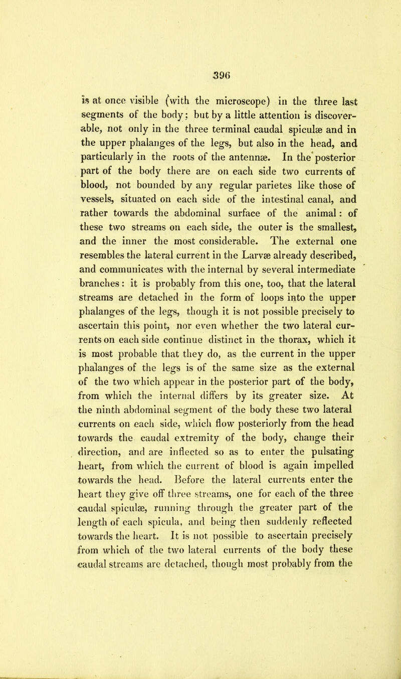 if5 at once visible (with the microscope) in the three last segments of the body; but by a little attention is discover- able, not only in the three terminal caudal spiculae and in the upper phalanges of the legs, but also in the head, and particularly in the roots of the antennae. In the’posterior part of the body there are on each side two currents of blood, not bounded by any regular parietes like those of vessels, situated on each side of the intestinal canal, and rather towards the abdominal surface of the animal: of these two streams on each side, the outer is the smallest, and the inner the most considerable. The external one resembles the lateral current in the Larvse already described, and communicates with the internal by several intermediate branches: it is probably from this one, too, that the lateral streams are detached in the form of loops into the upper phalanges of the legs, though it is not possible precisely to ascertain this point, nor even whether the two lateral cur- rents on each side continue distinct in the thorax, which it is most probable that they do, as the current in the upper phalanges of the legs is of the same size as the external of the two which appear in the posterior part of the body, from which the internal differs by its greater size. At the ninth abdominal segment of the body these two lateral currents on each side, which flow posteriorly from the head towards the caudal extremity of the body, change their direction, and are inflected so as to enter the pulsating lieart, from which the current of blood is again impelled towards the head. Before the lateral currents enter the heart they give off three streams, one for each of the three caudal spiculae, running through the greater part of the length of each spicula, and being then suddenly reflected towards the heart. It is not possible to ascertain precisely from which of the two lateral currents of the body these caudal streams are detached, though most probably from the