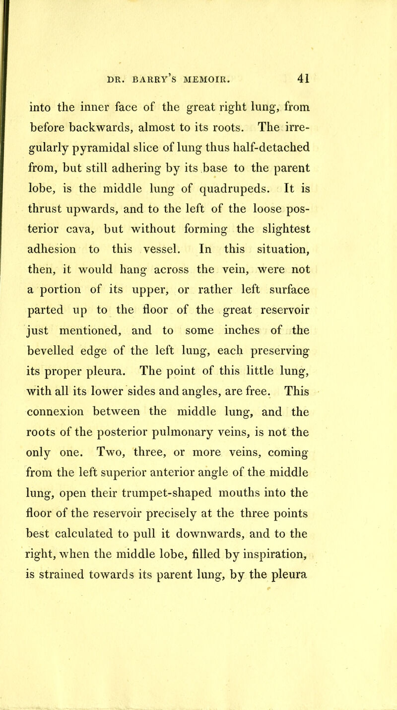 into the inner face of the great right lung, from before backwards, almost to its roots. The irre- gularly pyramidal slice of lung thus half-detached from, but still adhering by its base to the parent lobe, is the middle lung of quadrupeds. It is thrust upwards, and to the left of the loose pos- terior cava, but without forming the slightest adhesion to this vessel. In this situation, then, it would hang across the vein, were not a portion of its upper, or rather left surface parted up to the floor of the great reservoir just mentioned, and to some inches of the bevelled edge of the left lung, each preserving its proper pleura. The point of this little lung, with all its lower sides and angles, are free. This - connexion between the middle lung, and the roots of the posterior pulmonary veins, is not the only one. Two, three, or more veins, coming from the left superior anterior angle of the middle lung, open their trumpet-shaped mouths into the floor of the reservoir precisely at the three points best calculated to pull it downwards, and to the right, when the middle lobe, filled by inspiration, is strained towards its parent lung, by the pleura