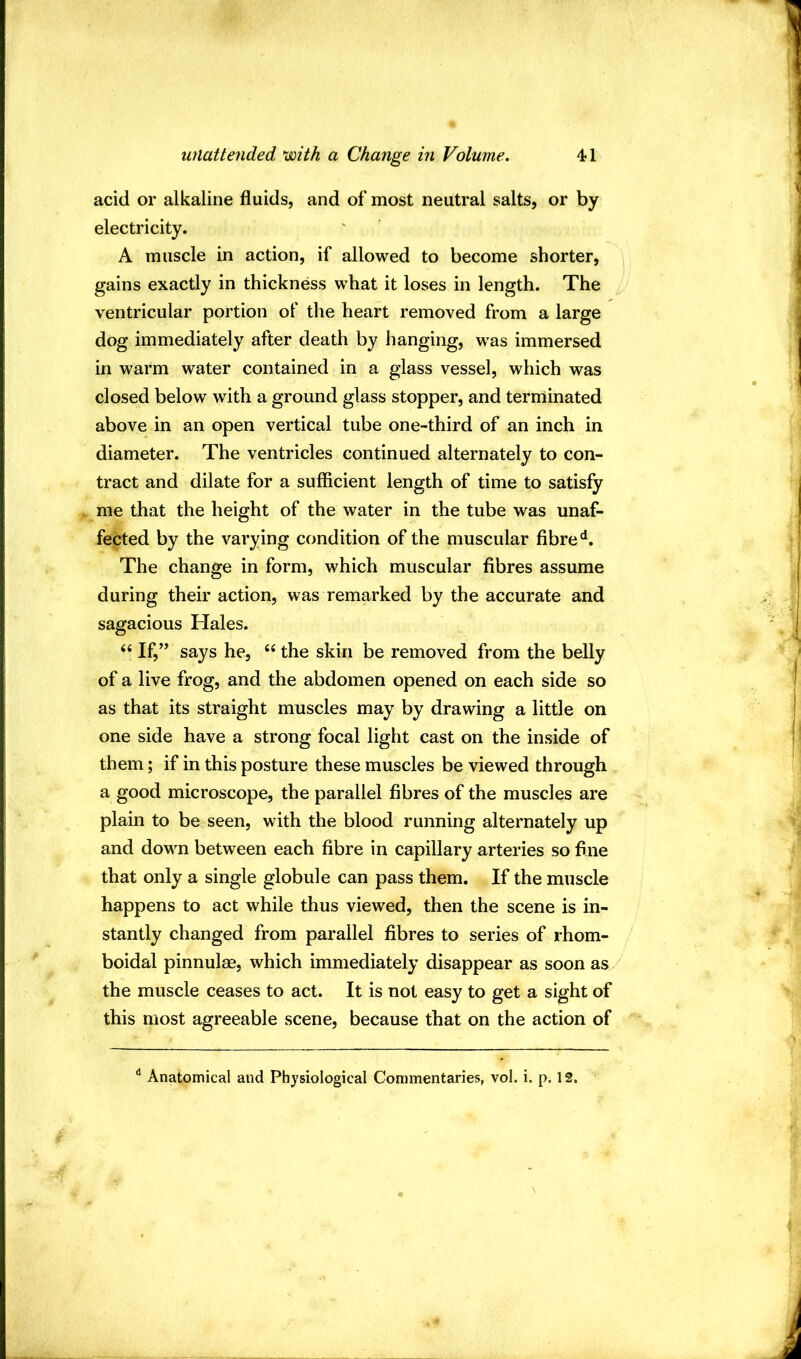 acid or alkaline fluids, and of most neutral salts, or by electricity. A muscle in action, if allowed to become shorter, gains exactly in thickness what it loses in length. The ventricular portion of the heart removed from a large dog immediately after death by hanging, was immersed in warm water contained in a glass vessel, which was closed below with a ground glass stopper, and terminated above in an open vertical tube one-third of an inch in diameter. The ventricles continued alternately to con- tract and dilate for a sufficient length of time to satisfy me that the height of the water in the tube was unaf- fected by the varying condition of the muscular fibre'*. The change in form, which muscular fibres assume during their action, was remarked by the accurate and sagacious Hales. ‘‘ If,” says he, “ the skin be removed from the belly of a live frog, and the abdomen opened on each side so as that its straight muscles may by drawing a little on one side have a strong focal light cast on the inside of them; if in this posture these muscles be viewed through a good microscope, the parallel fibres of the muscles are plain to be seen, with the blood running alternately up and down between each fibre in capillary arteries so fine that only a single globule can pass them. If the muscle happens to act while thus viewed, then the scene is in- stantly changed from parallel fibres to series of rhom- boidal pinnulae, which immediately disappear as soon as the muscle ceases to act. It is not easy to get a sight of this most agreeable scene, because that on the action of ^ Anatomical and Physiological Commentaries, vol. i. p. 12.