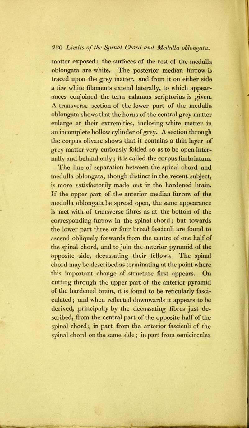 matter exposed: the surfaces of the rest of the medulla oblongata are white. The posterior median furrow is traced upon the grey matter, and from it on either side a few white filaments extend laterally, to which appear- ances conjoined the term calamus scrip tori us is given. A transverse section of the lower part of the medulla oblongata shows that the horns of the central grey matter enlarge at their extremities, inclosing white matter in an incomplete hollow cylinder of grey. A section through the corpus olivare shows that it contains a thin layer of grey matter very curiously folded so as to be open inter- nally and behind only; it is called the corpus fimbriatum. The line of separation between the spinal chord and medulla oblongata, though distinct in the recent subject, is more satisfactorily made out in the hardened brain. If the upper part of the anterior median furrow of the medulla oblongata be spread open, the same appearance is met with of transverse fibres as at the bottom of the corresponding furrow in the spinal chord; but towards the lower part three or four broad fasciculi are found to ascend obliquely forwards from the centre of one half of the spinal chord, and to join the anterior pyramid of the Opposite side, decussating their fellows. The spinal chord may be described as terminating at the point where this important change of structure first appears. On cutting through the upper part of the anterior pyramid of the hardened brain, it is found to be reticularly fasci- culated ; and when reflected downwards it appears to be derived, principally by the decussating fibres just de- scribed, from the central part of the opposite half of the spinal chord; in part from the anterior fasciculi of the spinal chord on the same side; in part from semicircular