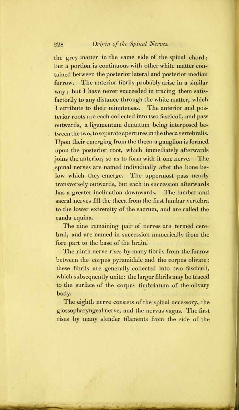the grey matter in the same side of the spinal chord; but a portion is continuous with other white matter con- tained between the posterior lateral and posterior median furrow. The anterior fibrils probably arise in a similar way; but I have never succeeded in tracing them satis- factorily to any distance through the white matter, which I attribute to their minuteness. The anterior and pos- terior roots are each collected into two fasciculi, and pass outwards, a ligamentum dentatum being interposed be- tween the two, to separate apertures in the theca vertebralis. Upon their emerging from the theca a ganglion is formed upon the posterior root, which immediately afterwards joins the anterior, so as to form with it one nerve. The spinal nerves are named individually after the bone be- low which they emerge. The uppermost pass nearly transversely outwards, but each in succession afterwards has a greater inclination downwards. The lumbar and sacral nerves fill the theca from the first lumbar vertebra to the lower extremity of the sacrum, and are called the cauda equina. The nine remaining pair of nerves are termed cere- bral, and are named in succession numerically from the fore part to the base of the brain.' The ninth nerve rises by many fibrils from the furrow between the corpus pyramidale and the corpus olivare: these fibrils are generally collected into two fasciculi, which subsequently unite: the larger fibrils may be traced to the surface of the corpus fimbriatum of the olivary body. The eighth nerve consists of the spinal accessory, the glossopharyngeal nerve, and the nervus vagus. The first rises by many slender filaments from the side of the Ss A