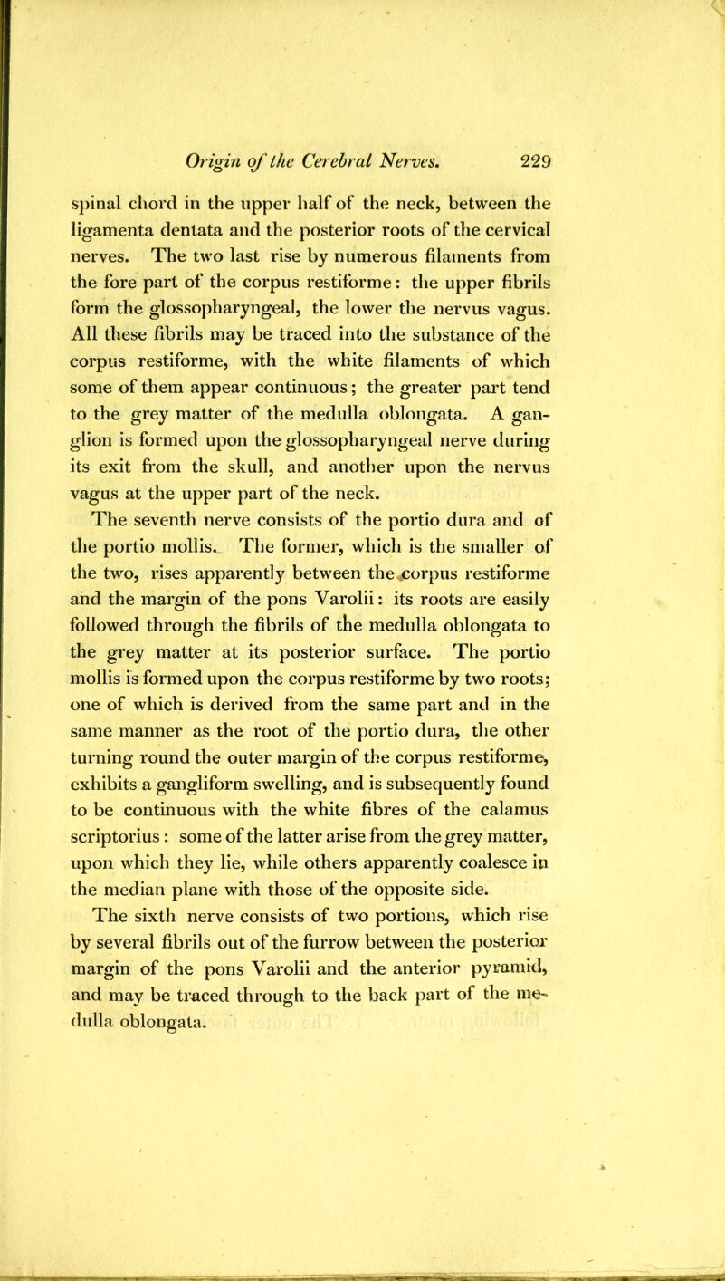 spinal chord in the upper half of the neck, between the ligamenta dentata and the posterior roots of the cervical nerves. The two last rise by numerous filaments from the fore part of the corpus restiforme: the upper fibrils form the glossopharyngeal, the lower the nervus vagus. All these fibrils may be traced into the substance of the corpus restiforme, with the white filaments of which some of them appear continuous; the greater part tend to the grey matter of the medulla oblongata. A gan- glion is formed upon the glossopharyngeal nerve during its exit from the skull, and another upon the nervus vagus at the upper part of the neck. The seventh nerve consists of the portio dura and of the portio mollis. The former, which is the smaller of the two, rises apparently between the corpus restiforme and the margin of the pons Varolii: its roots are easily followed through the fibrils of the medulla oblongata to the grey matter at its posterior surface. The portio mollis is formed upon the corpus restiforme by two roots; one of which is derived from the same part and in the same manner as the root of the portio dura, the other turning round the outer margin of the corpus restiforme^ exhibits a gangliform swelling, and is subsequently found to be continuous with the white fibres of the calamus scriptorius: some of the latter arise from the grey matter, upon which they lie, while others apparently coalesce in the median plane with those of the opposite side. The sixth nerve consists of two portions, which rise by several fibrils out of the furrow between the posterior margin of the pons Varolii and the anterior pyramid, and may be traced through to the back part of the me- dulla oblongata.