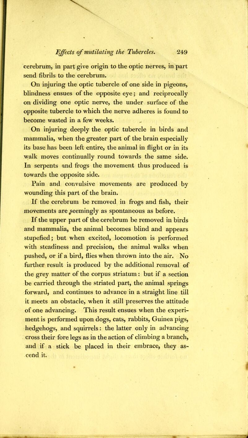 cerebrum, in part give origin to the optic nerves, in part send fibrils to the cerebrum. On injuring the optic tubercle of one side in pigeons, blindness ensues of the opposite eye; and reciprocally on dividing one optic nerve, the under surface of the opposite tubercle to which the nerve adheres is found to become wasted in a few weeks. On injuring deeply the optic tubercle in birds and mammalia, when the greater part of the brain especially its base has been left entire, the animal in flight or in its walk moves continually round towards the same side. In serpents and frogs the movement thus produced is towards the opposite side. Pain and convulsive movements are produced by wounding this part of the brain. If the cerebrum be removed in frogs and fish, their movements are ^seemingly as spontaneous as before. If the upper part of the cerebrum be removed in birds and mammalia, the animal becomes blind and appears stupefied; but when excited, locomotion is performed with steadiness and precision, the animal walks when pushed, or if a bird, flies when thrown into the air. No further result is produced by the additional removal of the grey matter of the corpus striatum: but if a section be carried through the striated part, the animal springs forward, and continues to advance in a straight line till it meets an obstacle, when it still preserves the attitude of one advancing. This result ensues when the experi- ment is performed upon dogs, cats, rabbits, Guinea pigs, hedgehogs, and squirrels: the latter only in advancing cross their fore legs as in the action of climbing a branch, and if a stick be placed in their embrace, they as- cend it.