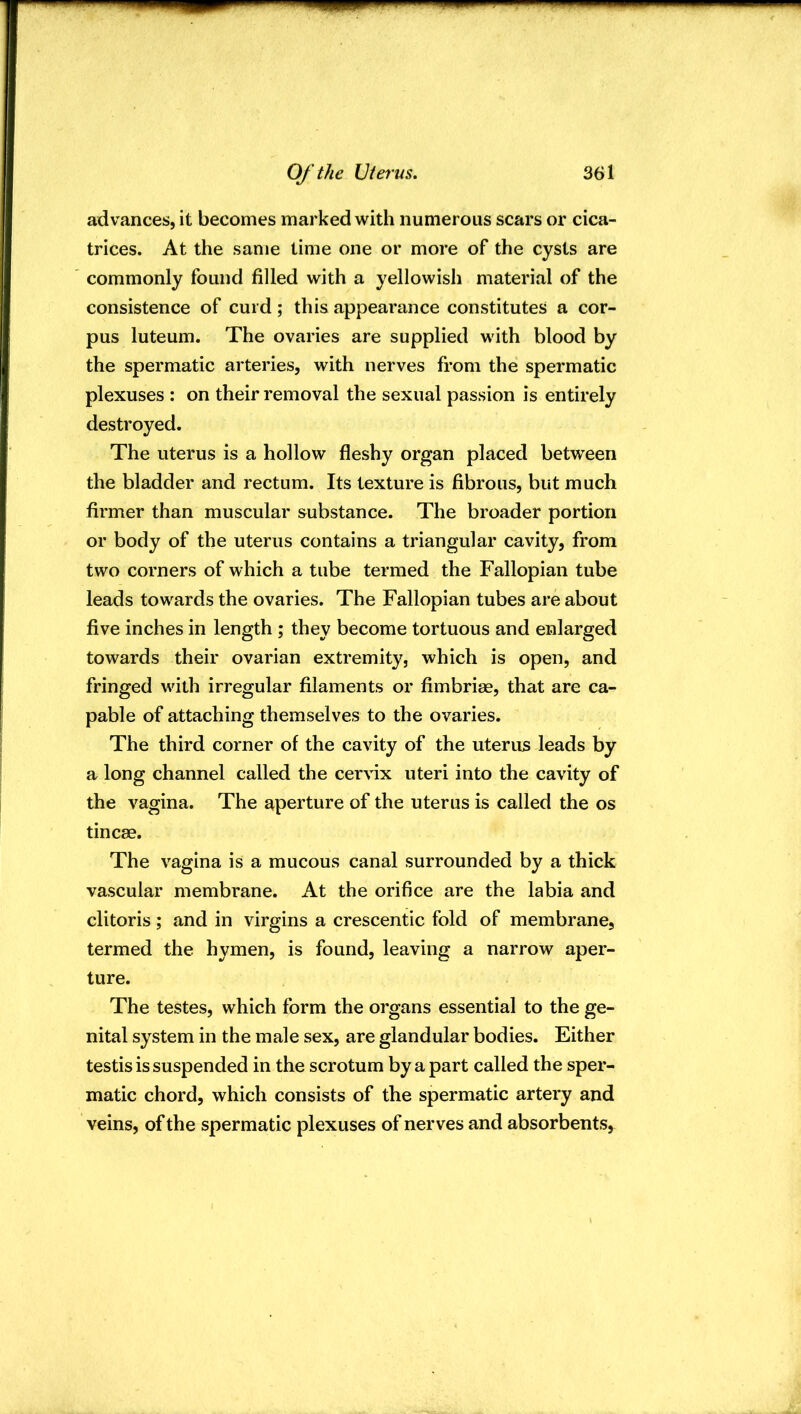 advances, it becomes marked with numerous scars or cica- trices. At the same time one or more of the cysts are commonly found filled with a yellowish material of the consistence of curd; this appearance constitutes a cor- pus luteum. The ovaries are supplied with blood by the spermatic arteries, with nerves from the spermatic plexuses : on their removal the sexual passion is entirely destroyed. The uterus is a hollow fleshy organ placed between the bladder and rectum. Its texture is fibrous, but much firmer than muscular substance. The broader portion or body of the uterus contains a triangular cavity, from two corners of which a tube termed the Fallopian tube leads towards the ovaries. The Fallopian tubes are about five inches in length ; they become tortuous and enlarged towards their ovarian extremity, which is open, and fringed with irregular filaments or fimbriae, that are ca- pable of attaching themselves to the ovaries. The third corner of the cavity of the uterus leads by a long channel called the cer\dx uteri into the cavity of the vagina. The aperture of the uterus is called the os tincae. The vagina is a mucous canal surrounded by a thick vascular membrane. At the orifice are the labia and clitoris; and in virgins a crescentic fold of membrane, termed the hymen, is found, leaving a narrow aper- ture. The testes, which form the organs essential to the ge- nital system in the male sex, are glandular bodies. Either testis is suspended in the scrotum by a part called the sper- matic chord, which consists of the spermatic artery and veins, of the spermatic plexuses of nerves and absorbents.