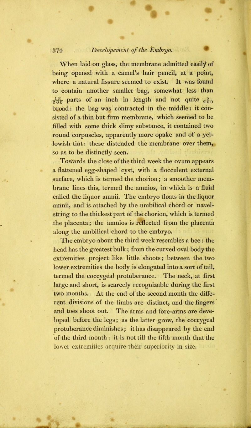 374? Developement of the jEmbryo. ^ When laid on glass, the membrane admitted easily of being opened with a camel’s hair pencil, at a point, where a natural fissure seemed to exist. It was found to contain another smaller bag, somewhat less than -iwo parts of an inch in length and not quite broad: the bag was contracted in the middle: it con- sisted of a thin but firm membrane, which seeihed to be filled with some thick slimy substance, it contained two round corpuscles, apparently more opake and of a yel- lowish tint: these distended the membrane over them, so as to be distinctly seen. Towards the close of the third week the ovum appears a flattened egg-shaped cyst, with a flocculent external surface, which is termed the chorion; a smoother mem- brane lines this, termed the amnios, in which is a fluid called the liquor amnii. The embryo floats in the liquor amnii, and is attached by the umbilical chord or navel- string to the thickest part of the chorion, which is termed the placenta; the amnios is reflected from the placenta along the umbilical chord to the embryo. The embryo about the third week resembles a bee: the head has the greatest bulk; from the curved oval body the extremities project like little shoots; between the two lower extremities the body is elongated into a sort of tail, termed the coccygeal protuberance. The neck, at first large and short, is scarcely recognizable during the first two months. At the end of the second month the diffe- rent divisions of the limbs are distinct, and the fingers and toes shoot out. The arms and fore-arms are deve- loped before the legs; as the latter grow, the coccygeal protuberance diminishes; it has disappeared by the end of the third month: it is not till the fifth month that the lower extremities acquire their superiority in size.