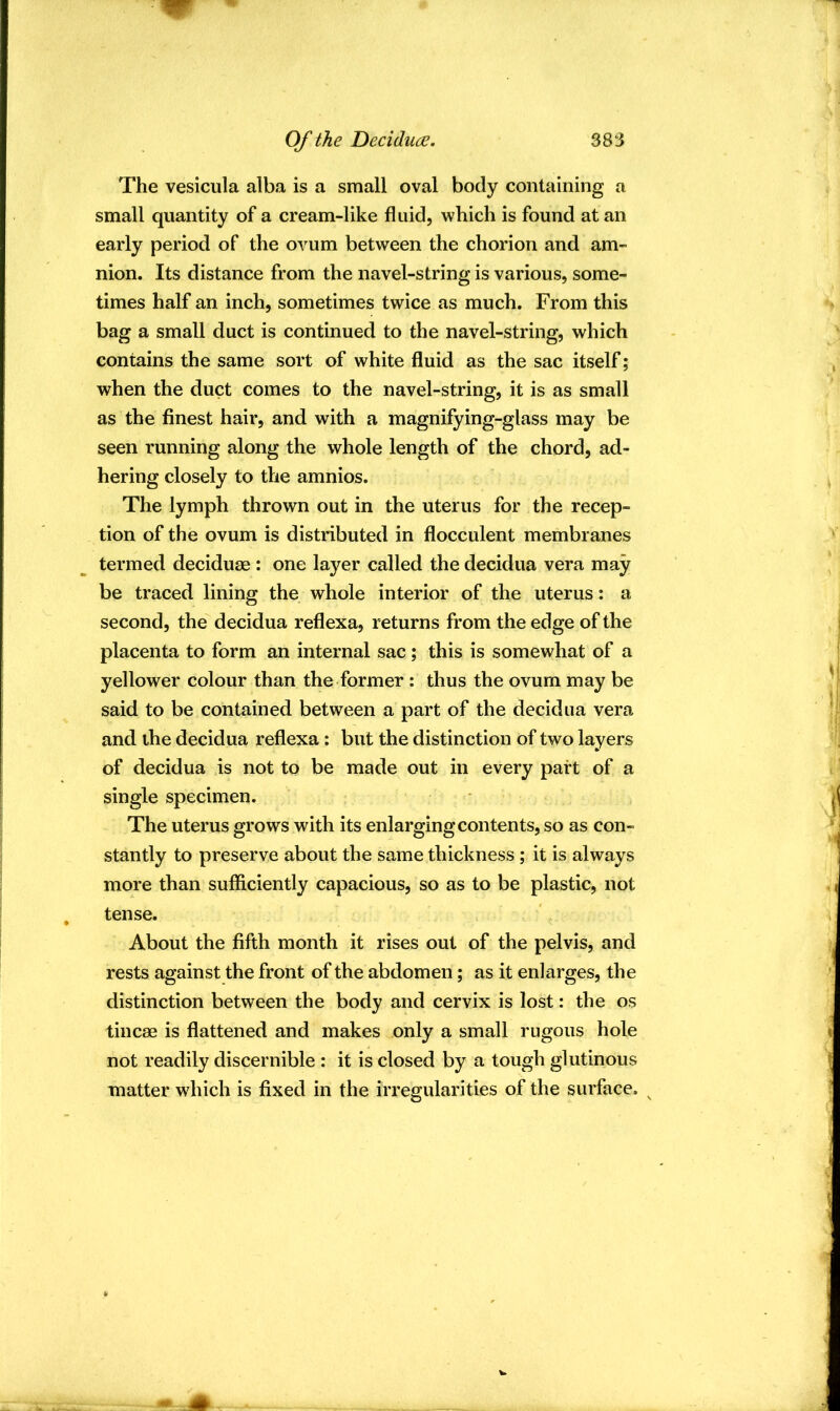 The vesicula alba is a small oval body containing a small quantity of a cream-like fluid, which is found at an early period of the ovum between the chorion and am- nion. Its distance from the navel-string is various, some- times half an inch, sometimes twice as much. From this bag a small duct is continued to the navel-string, which contains the same sort of white fluid as the sac itself; when the duct comes to the navel-string, it is as small as the finest hair, and with a magnifying-glass may be seen running along the whole length of the chord, ad- hering closely to the amnios. The lymph thrown out in the uterus for the recep- tion of the ovum is distributed in flocculent membranes termed deciduae : one layer called the decidua vera may be traced lining the whole interior of the uterus; a second, the decidua reflexa, returns from the edge of the placenta to form an internal sac; this is somewhat of a yellower colour than the former : thus the ovum may be said to be contained between a part of the decidua vera and the decidua reflexa: but the distinction of two layers of decidua is not to be made out in every part of a single specimen. The uterus grows with its enlargingcontents, so as con- stantly to preserve about the same thickness ; it is always more than sufficiently capacious, so as to be plastic, not tense. About the fifth month it rises out of the pelvis, and rests against the front of the abdomen; as it enlarges, the distinction between the body and cervix is lost: the os tineas is flattened and makes only a small rugous hole not readily discernible : it is closed by a tough glutinous matter which is fixed in the irregularities of the surface. ^