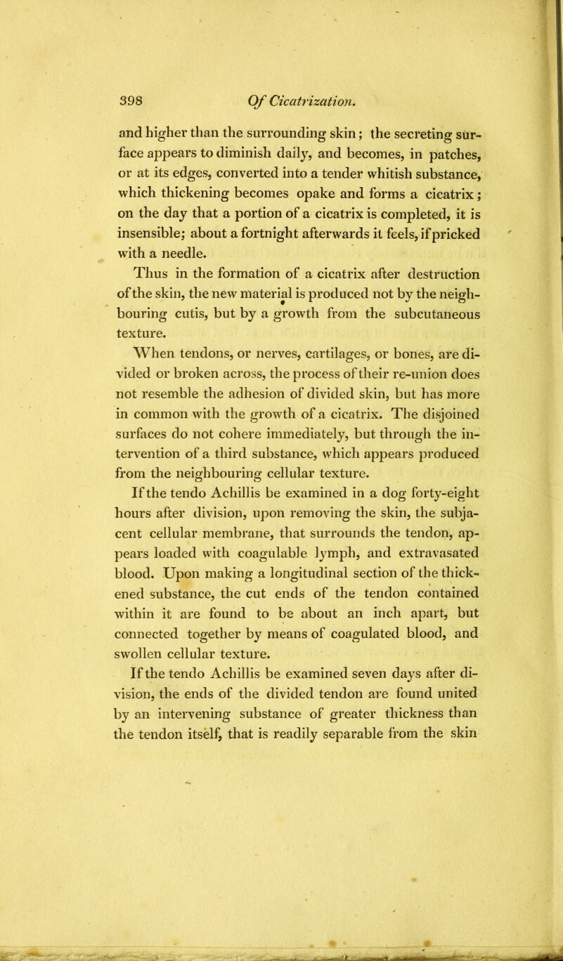 and higher than the surrounding skin; the secreting sur- face appears to diminish daily, and becomes, in patches, or at its edges, converted into a tender whitish substance, which thickening becomes opake and forms a cicatrix; on the day that a portion of a cicatrix is completed, it is insensible,* about a fortnight afterwards it feels, if pricked with a needle. Thus in the formation of a cicatrix after destruction of the skin, the new material is produced not by the neigh- bouring cutis, but by a growth from the subcutaneous texture. When tendons, or nerves, cartilages, or bones, are di- vided or broken across, the process of their re-union does not resemble the adhesion of divided skin, but has more in common with the growth of a cicatrix. The disjoined surfaces do not cohere immediately, but through the in- tervention of a third substance, which appears produced from the neighbouring cellular texture. If the tendo Achillis be examined in a dog forty-eight hours after division, upon removing the skin, the subja- cent cellular membrane, that surrounds the tendon, ap- pears loaded with coagulable lymph, and extravasated blood. Upon making a longitudinal section of the thick- ened substance, the cut ends of the tendon contained within it are found to be about an inch apart, but connected together by means of coagulated blood, and swollen cellular texture. If the tendo Achillis be examined seven days after di- vision, the ends of the divided tendon are found united by an intervening substance of greater thickness than the tendon itself, that is readily separable from the skin