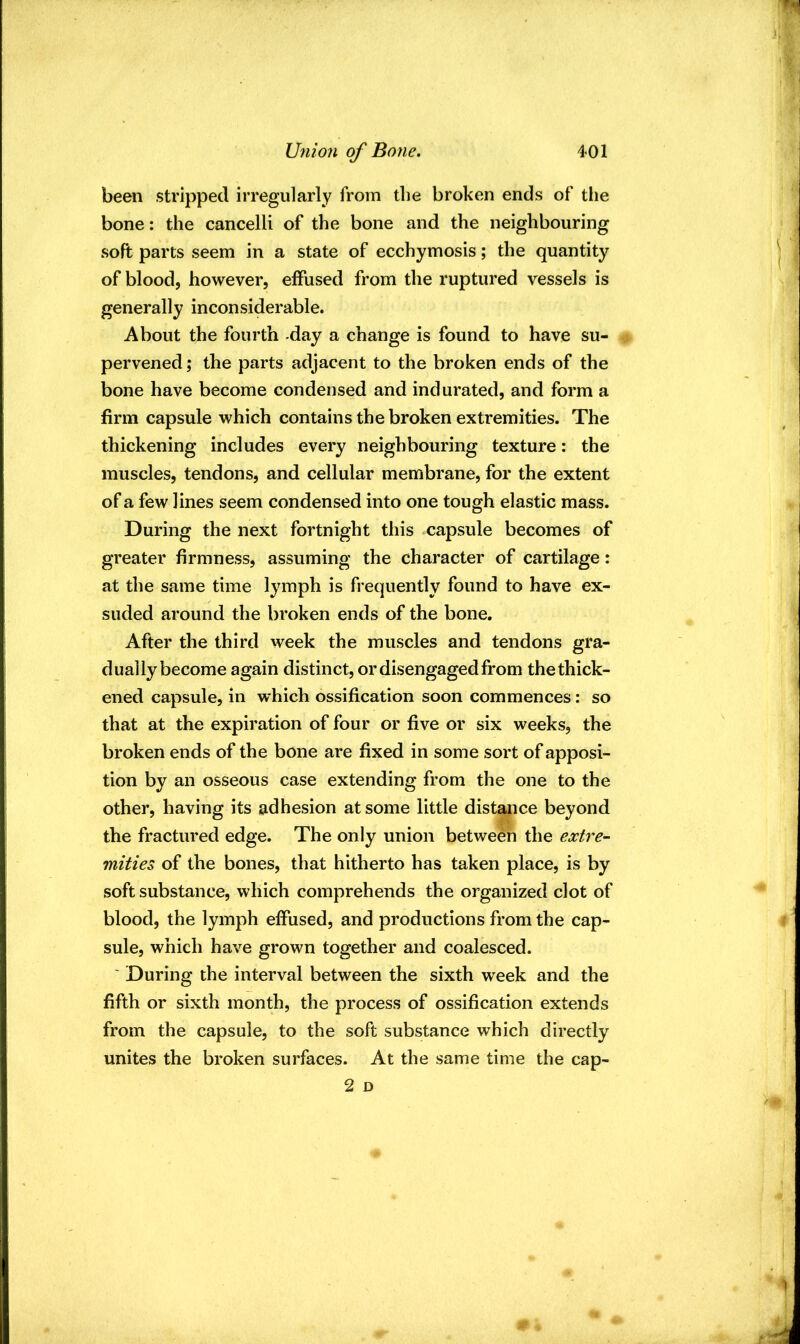 been stripped irregularly from the broken ends of the bone: the cancelli of the bone and the neighbouring soft parts seem in a state of ecchymosis; the quantity of blood, however, effused from the ruptured vessels is generally inconsiderable. About the fourth -day a change is found to have su- pervened; the parts adjacent to the broken ends of the bone have become condensed and indurated, and form a firm capsule which contains the broken extremities. The thickening includes every neighbouring texture: the muscles, tendons, and cellular membrane, for the extent of a few lines seem condensed into one tough elastic mass. During the next fortnight this capsule becomes of greater firmness, assuming the character of cartilage: at the same time lymph is frequently found to have ex- suded around the broken ends of the bone. After the third week the muscles and tendons gra- dually become again distinct, or disengaged from thethick- ened capsule, in which ossification soon commences: so that at the expiration of four or five or six weeks, the broken ends of the bone are fixed in some sort of apposi- tion by an osseous case extending from the one to the other, having its adhesion at some little distance beyond the fractured edge. The only union between the extre- mities of the bones, that hitherto has taken place, is by soft substance, which comprehends the organized clot of blood, the lymph effused, and productions from the cap- sule, which have grown together and coalesced. ' During the interval between the sixth week and the fifth or sixth month, the process of ossification extends from the capsule, to the soft substance which directly unites the broken surfaces. At the same time the cap- 2 D