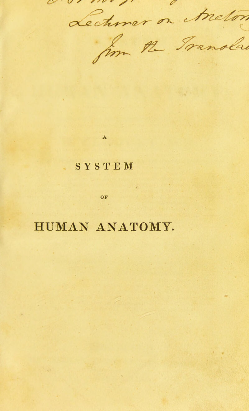 CP(<^ a A SYSTEM OF HUMAN ANATOMY.