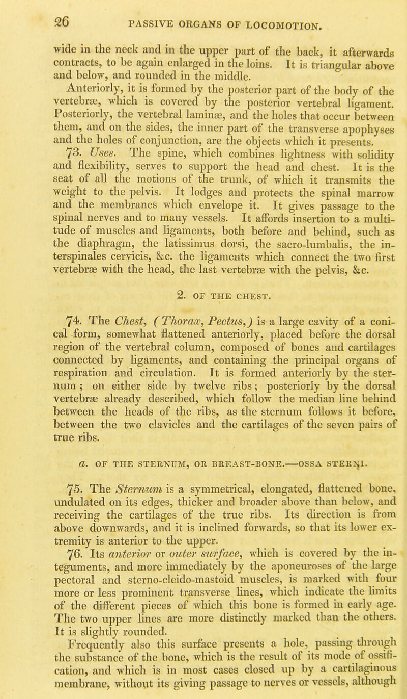 wide in the neck and in the upper part of the back, it afterwards contracts, to be again enlarged in the loins. It is triangular above and below, and rounded in the middle. Anteriorly, it is formed by the posterior part of the body of the vertebrae, which is covered by the posterior vertebral ligament. Posteriorly, the vertebral laminae, and the holes that occur between them, and on the sides, the inner part of the transverse apophyses and the holes of conjunction, are the objects which it presents. 73. Uses. The spine, which combines lightness with solidity and flexibility, serves to support the head and chest. It is the seat of all the motions of the trunk, of which it transmits the weight to the pelvis. It lodges and protects the spinal marrow and the membranes which envelope it. It gives passage to the spinal nerves and to many vessels. It affords insertion to a multi- tude of muscles and ligaments, both before and behind, such as the diaphragm, the latissimus dorsi, the sacro-lumbalis, the in- terspinales cervicis, &c. the ligaments which connect the two first vertebi’Ee with the head, the last vertebrae with the pelvis. Sic. 2. OF THE CHEST. 74. The Chest, (Thorax, Pectus,) is a large cavity of a coni- cal form, somewhat flattened anteriorly, placed before the dorsal region of the vertebral column, composed of bones and cartilages connected by ligaments, and containing the principal organs of respiration and circulation. It is formed anteriorly by the ster- num ; on either side by twelve ribs; posteriorly by the dorsal vertebrae already described, which follow the median line behind between the heads of the ribs, as the sternum follows it before, between the two clavicles and the cartilages of the seven pairs of true ribs. a. OF THE STEKNUM, Oil BREAST-BONE. OSSA STEU^JI. 75. The Sternum is a symmetrical, elongated, flattened bone, undulated on its edges, thicker and broader above than below, and receiving the cartilages of the true ribs. Its direction is from above downwards, and it is inclined forwards, so that its lower ex- tremity is anterior to the upper. 76. Its anterior or outer surface, which is covered by the in- teguments, and more immediately by the aponeuroses of the large pectoral and sterno-cleido-mastoid muscles, is marked with four more or less prominent transverse lines, which indicate the limits of the different pieces of which this bone is formed in early age. The two upper lines are more distinctly marked than the others. It is slightly rounded. Frequently also this surface presents a hole, passing through the substance of the bone, which is the result of its mode of ossifi- cation, and whicli is in most cases closed up by a cartilaginous membrane, without its giving passage to nerves or vessels, although