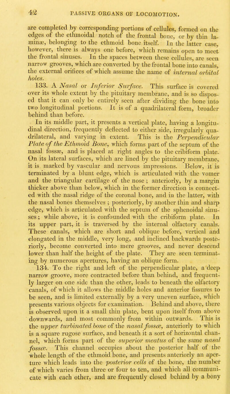 are completed by corresponding portions of cellules, formed on the edges of the ethmoidal notch of tlie frontal bone, or by thin la- minae, belonging to the ethmoid bone itself. In the latter case, howevci’, there is always one before, which remains open to meet the frontal sinuses. In the spaces between these cellules, are seen narrow grooves, which are converted by the frontal bone into canals, the external orifices of which assume the name of internal orbital holes. 133. A Nasal or Inferior Surface. This surface is covered over its whole extent by the pituitary membrane, and is so dispos- ed that it can only be entirely seen after chviding the bone into two longitudinal portions. It is of a quadrilateral form, broader behind than before. In its middle part, it presents a vertical plate, having a longitu- dinal direction, frequently deflected to either side, irregularly qua- drilateral, and varying in extent. This is the Perpendicular Plate of the Ethmoid Bone, which forms part of the septum of the nasal fossae, and is placed at right angles to the cribiform plate. On its lateral surfaces, which are lined by the pituitary membrane, it is marked by vascular and nervous impressions. Below, it is terminated by a blunt edge, which is articulated with the vomer and the triangular cartilage of the nose ; anteriorly, by a margin thicker above than below, which in the former direction is connect- ed with the nasal ridge of the coronal bone, and in the latter, with the nasal bones themselves ; posteriorly, by another thm and sharp edge, which is articulated with the septum of the sphenoidal sinu- ses ; while above, it is confounded with the cribiform plate. In its upper part, it is traversed by the internal olfactory canals. These canals, which are short and oblique before, vertical and elongated in the middle, very long, and inclined backwards poste- riorly, become converted into mere gi’ooves, and never descend lower than half the height of the plate. They are seen terminat- ing by numerous apertures, havmg an oblique form. 134. To the right and left of the perpendicidar plate, a deep narrow groove, more contracted before than behind, and frequent- ly larger on one side than the other, leads to beneath the olfactory canals, of which it allows the middle holes and anterior fissures to be seen, and is limited externally by a very uneven surface, which presents various objects for examination. Behind and above, there is observed upon it a small thin plate, bent upon itself from above downwards, and most commonly from within outwards. This is the upper turbinated bone of the nasal fossce, anteriorly to which is a square rugose surface, and beneath it a sort of horizontal chan- nel, wliich forms part of the superior meatus of the same nasal fossce. This channel occupies about the posterior half of the whole length of the ethmoid bone, and presents anteriorly an aper- ture which leads into the posterior cells of the bone, the number of which varies from three or four to ten, and which all communi- cate with each other, and are frequently closed behind by a bony