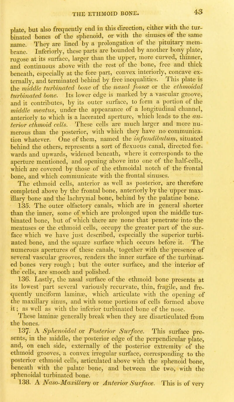 plate, but also frequently end in this direction, cither with the tur- binated bones of the sphenoid, or with the sinuses of the same name. They are lined by a prolongation of the pituitary mem- brane. Inferiorly, these parts are bounded by another bony plate, rugose at its surface, larger than the upper, more curved, thinner, and continuous above with the rest ot the bone, free and thick beneath, especially at the fore part, convex interiorly, concave ex- ternally, and terminated behind by free inequalities. This plate is the middle turbinated bone of the nasal fusses or the ethmoidal turbinated bone. Its lower edge is marked by a vascular groove, audit contributes, by its outer surface, to form a portion of the middle meatus, under the appearance of a longitudinal channel, anteriorly to which is a lacerated aperture, which leads to the an- terior ethmoid cells. These cells are much larger and more nu- merous than the posterior, with which they have no communica- tion whatever. One of them, named the inf undibulum, situated behind the others, represents a sort of flexuous canal, directed for- wards and upwards, widened beneath, where it corresponds to the aperture mentioned, and opening above into one of the half-cells, which are covered by those of the ethmoidal notch of the frontal bone, and which communicate with the frontal sinuses. The ethmoid cells, anterior as well as posterior, are therefore completed above by the frontal bone, anteriorly by the upper max- illary bone and the lachrymal bone, behind by the palatine bone. 135. The outer olfactory canals, which are in general shorter than the inner, some of which are prolonged upon the middle tur- binated bone, but of which there are none that penetrate into the meatuses or the ethmoid cells, occupy the greater part of the sur- face which we have just described, especially the superior turbi- nated bone, and the square surface which occurs before it. The numerous apertures of these canals, together with the presence of several vascular grooves, renders the inner surface of the tiu’binat- ed bones very rough; but the outer surface, and the interior of the cells, are smooth and polished. 136. Lastly, the nasal surface of the ethmoid bone presents at its lowest part several variously recurvate, thin, fragile, and fre- quently unciform laminae, which articulate with the opening of the maxillary sinus, and with some portions of cells formed above it; as well as with the inferior turbinated bone of the nose. These laminae generally break when they are disarticulated from the bones. 137. A Sphenoidal or Posterior Surface. This surface pre- sents, in the middle, the posterior edge of the perpendicular plate, and, on each side, externally of the posterior extremity of the ethmoid grooves, a convex irregular surface, corresponchng to the posterior ethmoid cells, articulated above with the sphenoid bone, beneath with the palate bone, and between the two, with the .sphenoidal turbinated bone. 138. A Naso-Maccillary or Anterior Surface. This is of very