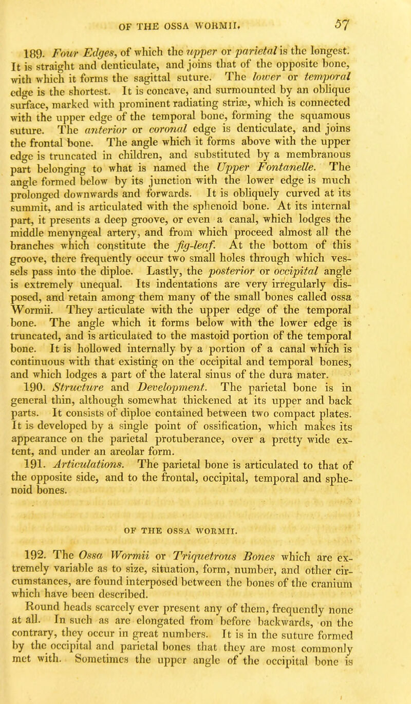 189. Four FAlges, of which tlic upper or parietal is the longest. It is straiglit and denticulate, and joins that of the opposite hone, mth which it forms the sagittal suture. The lower or temporal edge is the shortest. It is concave, and surmounted by an oblique surface, marked with prominent radiating strim, Avhich is connected with the upper edge of the temporal bone, forming the squamous suture. The anterior or coronal edge is denticulate, and joins the frontal bone. The angle which it forms above with the upper edge is truncated in children, and substituted by a membranous part belonging to what is named the Upper Fontanelle. The angle formed below by its junction with the lower edge is much prolonged downwards and forwards. It is obliquely curved at its summit, and is articulated with the sphenoid bone. At its internal part, it presents a deep groove, or even a canal, which lodges the middle menyngeal artery, and from which proceed almost all the branches which constitute the Jig-leaf. At the bottom of this groove, there frequently occur two small holes through which ves- sels pass into the diploe. Lastly, the posterior or occipital angle is extremely unequal. Its indentations are very irregularly dis- posed, and retain among them many of the small bones called ossa Wormii. They articulate with the upper edge of the temporal bone. The angle which it forms below with the lower edge is truncated, and is articulated to the mastoid portion of the temporal bone. It is hoUowed internally by a portion of a canal which is continuous with that existing on the occipital and temporal bones, and which lodges a part of the lateral sinus of the dura mater. 190. Stru^ure and Development. The parietal bone is in general thin, although somewhat thickened at its upper and back parts. It consists of diploe contained between two compact plates. It is developed by a .single point of ossification, which makes its appearance on the parietal protuberance, over a pretty wide ex- tent, and under an areolar form. 191. Artkmlations. The parietal bone is articulated to that of the opposite side, and to the frontal, occipital, temporal and sphe- noid bones. OF THE OSSA WORMII. 192. The Ossa Wormii or Triquetrous Bones which arc ex- tremely variable as to size, situation, form, number, and other cir- cumstances, are found interposed between the bones of the cranium which have been described. Round heads scarcely ever present any of them, frequently none at all. In such as are elongated from before backwards, on the contrary, they occur in ^eat numbers. It is in the suture formed by the occipital and parietal bones that they arc most commonly met with. Sometimes the upper angle of the occipital bone is