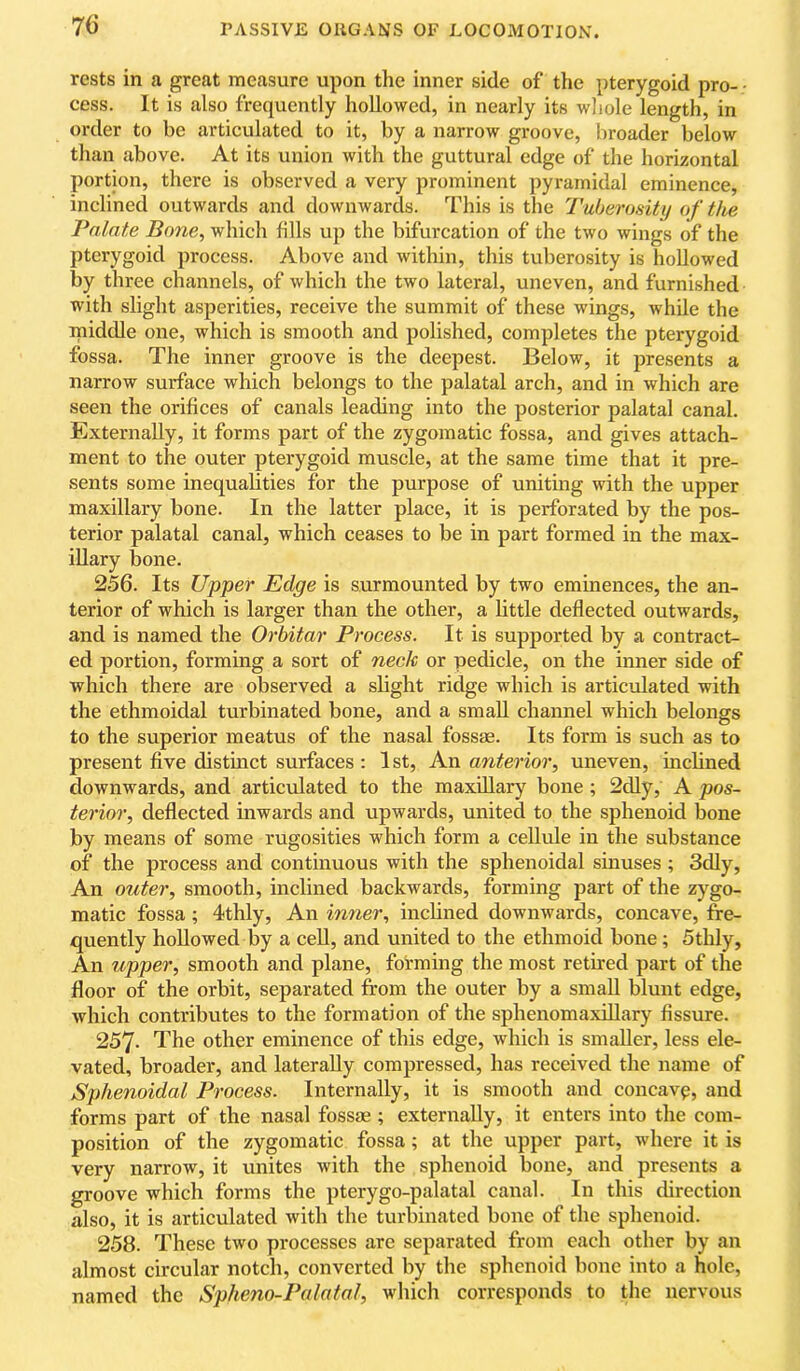 rests in a great measure upon the inner side of the pterygoid pro- • cess. It is also frequently hollowed, in nearly its wliole length, in order to be articulated to it, by a narrow groove, broader below than above. At its union with the guttural edge of the horizontal portion, there is observed a very prominent pyramidal eminence, inclined outwards and downwards. This is the Tuberosity of the Palate Bone, which fills up the bifurcation of the two wings of the pterygoid process. Above and within, this tuberosity is hoUowed by three channels, of which the two lateral, uneven, and furnished with slight asperities, receive the summit of these wings, Avhile the middle one, which is smooth and polished, completes the pterygoid fossa. The inner groove is the deepest. Below, it presents a narrow surface which belongs to the palatal arch, and in which are seen the orifices of canals leading into the posterior palatal canal. Externally, it forms part of the zygomatic fossa, and gives attach- ment to the outer pterygoid muscle, at the same time that it pre- sents some inequalities for the purpose of uniting with the upper maxillary bone. In the latter place, it is perforated by the pos- terior palatal canal, which ceases to be in part formed in the max- illary bone. 256. Its Upper Edge is surmounted by two eminences, the an- terior of which is larger than the other, a little deflected outwards, and is named the Orbitar Process. It is supported by a contract- ed portion, forming a sort of neck or pedicle, on the inner side of which there are observed a slight ridge which is articulated with the ethmoidal turbinated bone, and a small channel which belongs to the superior meatus of the nasal fossae. Its form is such as to present five distinct surfaces : 1st, An anterior, uneven, inchned downwards, and articulated to the maxiUary bone; 2dly, A pos- terior, deflected inwards and upwards, united to the sphenoid bone by means of some rugosities which form a cellule in the substance of the process and continuous with the sphenoidal sinuses ; 3dly, An outer, smooth, inclined backwards, forming part of the zygo- matic fossa; 4thly, An inner, inclined downwards, concave, fre- quently hollowed by a cell, and united to the ethmoid bone; Sthly, An upper, smooth and plane, forming the most retired part of the floor of the orbit, separated from the outer by a small blunt edge, which contributes to the formation of the sphenomaxillary fissure. 257. The other eminence of this edge, which is smaller, less ele- vated, broader, and laterally compressed, has received the name of Sphenoidal Process. Internally, it is smooth and concavp, and forms part of the nasal fossae; externally, it enters into the com- position of the zygomatic fossa; at the upper part, where it is very narrow, it unites with the sphenoid bone, and presents a groove which forms the pterygo-palatal canal. In this direction also, it is articulated with the turbinated bone of the sphenoid. 258. These two processes are separated from each other by an almost circular notch, converted by the sphenoid bone into a hole, named the Spheno-Palatal, which corresponds to the nervous