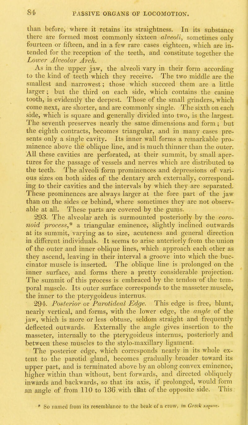 tluin before, where it retains its straightness. In its substance there are formed most commonly sixteen alveoli, sometimes only fourteen or fifteen, and in a few rare cases eighteen, which are in- tended for the reception of the teeth, and constitute together the Lower Alveolar Arch. As in tlie upper jaw, the alveoli vary in their form according to the kind of teeth which they receive. The two middle are the smallest and narrowest; those which succeed them are a little larger; but the third on each side, which contains tlie canine tooth, is evidently the deepest. Those of the small grinders, which come next, are shorter, and are commonly single. The sixth on each side, which is square and generally divided into two, is the largest. The seventh preserves nearly the same dimensions and form; but the eighth contracts, becomes triangular, and in many cases pre- sents only a single cavity. Its inner waU forms a remarkable pro- minence above the obhque line, and is much thinner than the outer. AU these cavities are perforated, at their summit, by small aper- tures for the passage of vessels and nerves which are distributed to the teeth. The alveoli form prommences and depressions of vari- ous sizes on both sides of the dentary arch externally, correspond- ing to their cavities and the intervals by which they are separated. These prominences are always larger at the fore part of the jaw than on the sides or behind, where sometimes they are not observ- able at all. These parts are covered by the gums. 293. The alveolar arch is surmounted posteriorly by the coro- noid process,* a triangular eminence, slightly inclined outwards at its summit, varying as to size, acuteness and general direction in different individuals. It seems to arise anteriorly from the union of the outer and inner oblique Hues, which approach each other as they ascend, leaving in their interval a groove into which the buc- cinator muscle is inserted. The obhque line is prolonged on the inner surface, and forms there a pretty considerable projection. The summit of this process is embraced by the tendon of the tem- poral muscle. Its outer surface corresponds to the masseter muscle, the inner to the pterygoideus internus. 294. Posterior or Parotideal Edge. This edge is free, blunt, nearly vertical, and forms, with the lower edge, the angle of the jaw, which is more or less obtuse, seldom straight and frequently deflected outwards. Externally the angle gives insertion to the masseter, internally to the pterygoideus internus, posteriorly and between these muscles to the stylo-maxillary ligament. The posterior edge, which corresponds nearly in its whole ex- tent to the parotid gland, becomes gradually broader toward its upper part, and is terminated above by an oblong convex eminence, higher within than Avithout, bent forAvards, and directed obliquely inwards and backwards, so that its axis, if prolonged, AA'ould form an angle of from 110 to 136 Avith that of the opposite side. Tliis * So named from its resemblance to the beak of a croAV, in Greek