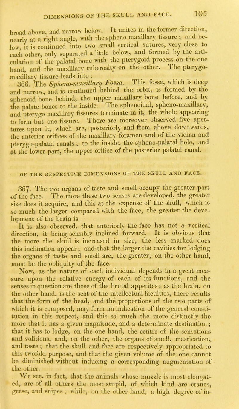 broad above, and narrow below. It unites in the former direction, nearly at a right angle, with the spheno-maxillary lissurc ; and be- low, It is continued into two small vertical sutures, very close to each other, only separated a little below, and formed by the arti- culation of the palatal bone with the pterygoid process on the one hand, and the maxillary tuberosity on the other. The pterygo- maxillary lissure leads into: ,. - , . , . , 366. The Spheno-maxillary Fossa. This fossa, which is deep and narrow, and is continued behind the orbit, is formed by the sphenoid bone behind, the upper maxillary bone before, and by the palate bones to the inside. The sphenoidal, spheno-maxillary, and pterygo-maxillary lissures terminate in it, the whole appearing to form but one fissure. There are moreover observed five aper- tures upon it, which are, posteriorly and from above downwards, the anterior orifices of the maxillary foramen and of the vidian and pterygo-palatal canals ; to the inside, the spheno-palatal hole, and At the lower part, the upper orifice of the posterior palatal canal. OF THE llESPECTIVE DIMENSIONS OF THE SKULL AND FACE. 367. The two organs of taste and smell occupy the greater part of the face. The more these two senses are developed, the greater size does it acquire, and this at the expense of the skull, which is so much the larger compared with the face, the greater the deve- lopment of the brain is. It is also observed, that anteriorly the face has not a vertical direction, it being sensibly inclined forward. It is obvious that the more the skull is increased in size, the less marked does this inclination appear; and that the larger the cavities for lodging the organs of taste and smeU are, the greater, on the other hand, must be the obhquity of the face. Now, as the nature of each individual depends in a great mea- sure upon the relative energy of each of its functions, and the senses in question are those of the brutal appetites ; as the brain, on the other hand, is the seat of the intellectual faculties, there results that the form of the head, and the proportions of the two parts of which it is composed, may form an indication of the general consti- tution in this respect, and this so much the more distinctly tlie more that it has a given magnitude, and a determinate destination ; that it has to lodge, on the one hand, the centre of the sensations and volitions, and, on the other, the organs of smell, mastication,, and taste ; that the skull and face are respectively appropriated to this twofold purpose, and that the given volume of the one cannot be diminished without inducing a corresponding augmentation of tlie other. We see, in fact, that the animals whose muzzle is most elongat- ed, are of all others the most stupid, of which kind arc cranes, geese, and snipes ; while, on the other hand, a high degree of in-
