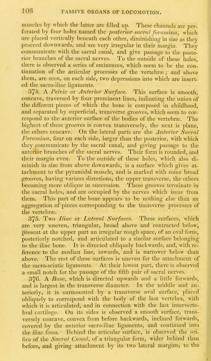 muscles by which the latter are filled up. These channels are per- forated by four holes nametl the posterior saoral foramina, which are placed vertically beneath each other, diminishing in size as they proceed downwards, and are very irregular in their margin. They communicate with the sacral canal, and give passage to the poste- rior branches of the sacral nerves. To the outside of these holes, there is observed a series of eminences, which seem to be the con- tinuation of the articular processes of the vertebrm; and above them, are seen, on each side, two depressions into which are insert- ed the sacro-iliac ligaments. 374. A Pelvic or Anterior Surface. This surface is smooth, concave, traversed by four prominent lines, indicating the union of the different pieces of which the bone is composed in childhood, and separated by superficial, transverse grooves, which seem to cor- respond to the anterior surface of the bodies of the vertebraj. The highest of these grooves is convex transversely, the next is plane, the others concave. On the lateral parts are the Anterior Sacral Foramina, four on each side, larger than the posterior, with which they communicate by the sacral canal, and giving passage to the anterior branches of the sacral nerves. Their form is rounded, and their margin even. To the outside of these holes, which also di- minish in size from above downwards, is a surface w'hich gives at- tachment to the pyramidal muscle, and is marked with some broad grooves, having various directions, the upper transverse, the others becoming more oblique in succession. These grooves terminate in the sacral holes, and are occupied by the nerves which issue from them. This part of the bone appears to be nothing else than an aggregation of pieces corresponding to the transverse processes of the vertebrae. 375. Two Iliac or Lateral Surfaces. These surfaces, which are very uneven, triangular, broad above and contracted below, present at the upper part an irregular rough space, of an oval form, posteriorly notched, and articulated to a similar surface belonging to the iliac bone. It is directed obliquely backwards, and, with re- ference to the median line, inwards, and is narrower below than above. The rest of these surfaces is uneven for the attachment of the sacro-sciatic ligaments. At their lowest part, there is observed a small notch for the passage of the fifth pair of sacral nerves. 376. A Base, which is directed upwards and a little forv'ards, and is largest in the transverse diameter. In the middle and an- teriorly, it is surmounted by a transverse oval surface, placed obliquely to correspond with the body of the last vertebra, with which it is articulated, and in connection with the last interverte- bral cartilage. On its sides is observed a smooth surface, trans- versely concave, convex from before backwards, inclined forwards, covered by the anterior sacro-iliac ligaments, and continued into the iliac fossa. Behind the articular surface, is observed the ori- fice of the Sacral Canal, of a triangular form, wider behind than before, and giving attachment by its two lateral margins, to the