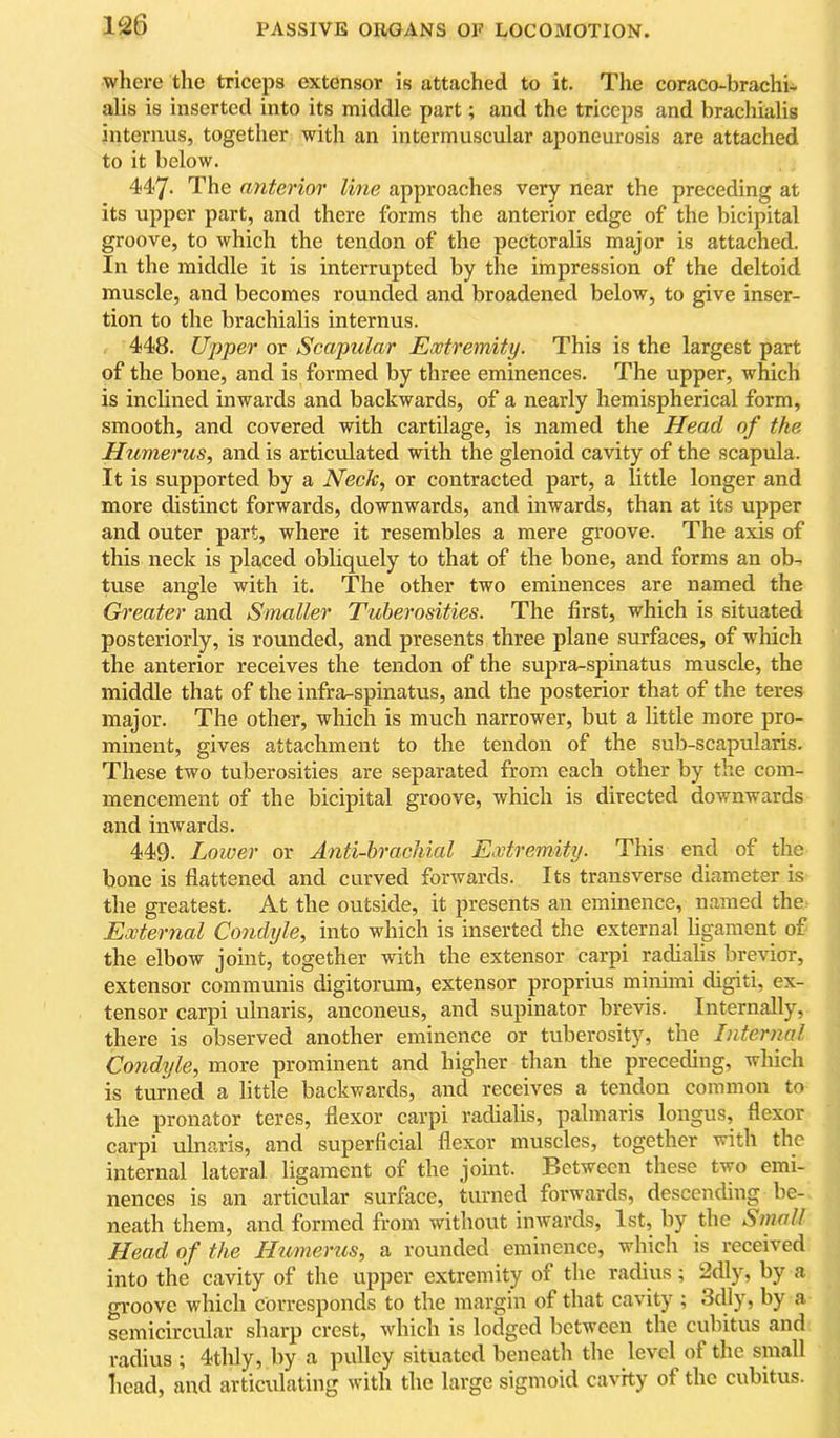 wliere the triceps extensor is attached to it. The coraco-brachi- alis is inserted into its middle part; and the triceps and brachialis intenuis, together with an intermuscular aponeurosis are attached to it below. 447- The anterior line approaches very near the preceding at its upper part, and there forms the anterior edge of the bicipital groove, to which the tendon of the pectoralis major is attached. In the middle it is interrupted by the impression of the deltoid muscle, and becomes rounded and broadened below, to give inser- tion to the brachialis internus. 448. U'pper or Scapular Extremity. This is the largest part of the bone, and is formed by three eminences. The upper, which is inclined inwards and backwards, of a nearly hemispherical form, smooth, and covered with cartilage, is named the Head of the Humerus, and is articulated with the glenoid cavity of the scapula. It is supported by a Neck, or contracted part, a little longer and more distinct forwards, downwards, and inwards, than at its upper and outer part, where it resembles a mere groove. The axis of this neck is placed obliquely to that of the bone, and forms an ob- tuse angle with it. The other two eminences are named the Greater and Smaller Tuberosities. The first, which is situated posteriorly, is rounded, and presents three plane surfaces, of which the anterior receives the tendon of the supra-spinatus muscle, the middle that of the infra-spinatus, and the posterior that of the teres major. The other, which is much narrower, but a little more pro- minent, gives attachment to the tendon of the sub-scapularis. These two tuberosities are separated from each other by the com- mencement of the bicipital groove, which is directed downwards and inwards. 449. Lower or Anti-brachial Extremity. This end of the bone is flattened and curved forwards. Its transverse diameter is the greatest. At the outside, it presents an eminence, named the External Condyle, into which is inserted the external ligament of the elbow joint, together with the extensor carpi radialis brevior, extensor communis digitorum, extensor proprius minimi digiti, ex- tensor carpi ulnaris, anconeus, and supinator brevis. Internally, there is observed another eminence or tuberosity, the Internal Condyle, more prominent and higher than the preceding, which is turned a little backwards, and receives a tendon common to the pronator teres, flexor carpi radialis, palmaris longus, flexor carpi ulnaris, and superficial flexor muscles, together with the internal lateral ligament of the joint. Between these two emi- nences is an articular surface, turned forwards, descending be- neath them, and formed from without iiiAvards, 1st, by the Small Head of the Humerics, a rounded eminence, which is received into the cavity of the upper extremity of the radius; 2dly, by a gi'oove which corresponds to the margin of that cavity ; 3dly, by a semicircular sharp crest, which is lodged between the cubitus and radius ; 4thly, by a pulley situated beneath the level of the small liead, and articulating with the large sigmoid cavity of the cubitus.