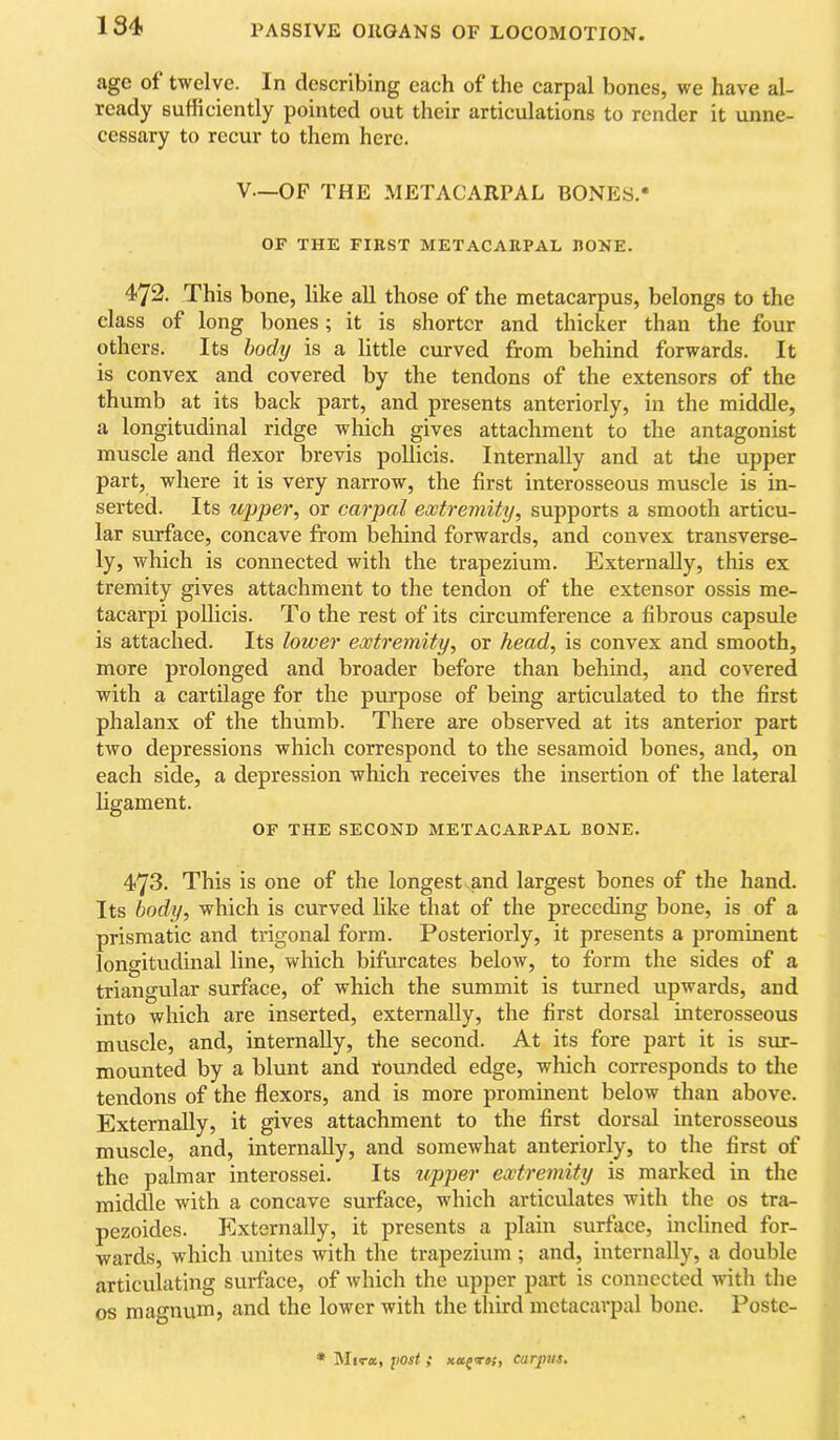 age of twelve. In describing each of the carpal bones, we have al- ready sufficiently pointed out their articulations to render it unne- cessary to recur to them here. V—OF THE METACARPAL BONES.* OF THE FIRST METACARPAL RONE. 472. This bone, like all those of the metacarpus, belongs to the class of long bones; it is shorter and thicker than the four others. Its body is a little curved from behind forwards. It is convex and covered by the tendons of the extensors of the thumb at its back part, and presents anteriorly, in the middle, a longitudinal ridge which gives attachment to the antagonist muscle and flexor brevis pollicis. Internally and at the upper part, where it is very narrow, the first interosseous muscle is in- serted. Its upper, or carpal extremity, supports a smooth articu- lar surface, concave from behind forwards, and convex transverse- ly, which is connected with the trapezium. Externally, this ex tremity gives attachment to the tendon of the extensor ossis me- tacarpi poUicis. To the rest of its circumference a fibrous capsule is attached. Its lower extremity, or head, is convex and smooth, more prolonged and broader before than behind, and covered with a cartilage for the purpose of being articulated to the first phalanx of the thumb. There are observed at its anterior part two depressions which correspond to the sesamoid bones, and, on each side, a depression which receives the insertion of the lateral ligament. OF THE SECOND METACARPAL BONE. 473. This is one of the longest and largest bones of the hand. Its body, which is curved like that of the preceding bone, is of a prismatic and trigonal form. Posteriorly, it presents a prominent longitudinal line, which bifurcates below, to form the sides of a triangular surface, of which the summit is turned upwards, and into which are inserted, externally, the first dorsal interosseous muscle, and, internally, the second. At its fore part it is sur- mounted by a blunt and founded edge, which corresponds to the tendons of the flexors, and is more prominent below than above. Externally, it gives attachment to the first dorsal interosseous muscle, and, internally, and somewhat anteriorly, to the first of the palmar interossei. Its uppier extremity is marked in the middle with a concave surface, which articulates with the os tra- pezoides. Plxternally, it presents a plain surface, inclined for- wards, which unites with the trapezium; and, internally, a double articulating surface, of which the upper part is connected with the os magnum, and the lower with the third metacarpal bone. Poste- • Mira, yost ; xa^Ta;, carpus.