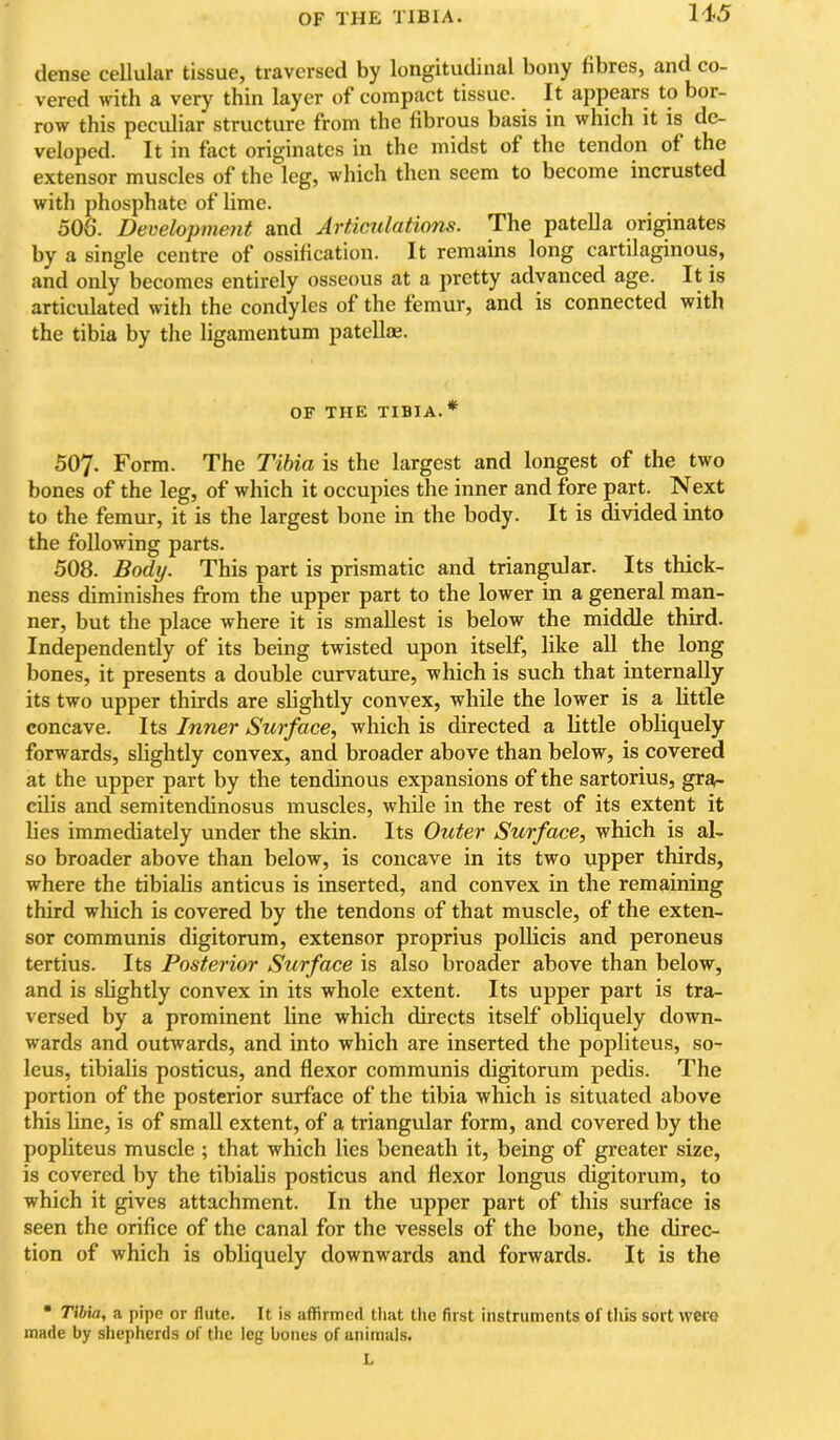 U5 dense cellular tissue, traversed by longitudinal bony fibres, and co- vered with a very thin layer of compact tissue. It appears to bor- row this peculiar structure from the fibrous basis in which it is de- veloped. It in fact originates in the midst of the tendon of the extensor muscles of the leg, which then seem to become incrusted with phosphate of lime. 506. Development and Articulations. The patella originates by a single centre of ossification. It remains long cartilaginous, and only becomes entirely osseous at a pretty advanced age. It is articulated with the condyles of the femur, and is connected with the tibia by the ligamentum pateUaj. OF THE TIBIA.* 507. Form. The Tibia is the largest and longest of the two bones of the leg, of which it occupies the inner and fore part. Next to the femur, it is the largest bone in the body. It is divided into the following parts. 508. Body. This part is prismatic and triangular. Its thick- ness diminishes from the upper part to the lower in a general man- ner, but the place where it is smallest is below the middle third. Independently of its being twisted upon itself, like all the long bones, it presents a double curvature, which is such that internally its two upper thirds are slightly convex, while the lower is a little concave. Its Inner Surface, which is directed a little obliquely forwards, slightly convex, and broader above than below, is covered at the upper part by the tendinous expansions of the sartorius, gra- cUis and semitendinosus muscles, while in the rest of its extent it lies immediately under the skin. Its Outer Surface, which is al- so broader above than below, is concave in its two upper thirds, where the tibialis anticus is inserted, and convex in the remaining third which is covered by the tendons of that muscle, of the exten- sor communis digitorum, extensor proprius polhcis and peroneus tertius. Its Posterior Surface is also broader above than below, and is slightly convex in its whole extent. Its upper part is tra- versed by a prominent line which directs itself obliquely down- wards and outwards, and into which are inserted the popliteus, so- leus, tibialis posticus, and flexor communis digitorum pedis. The portion of the posterior surface of the tibia which is situated above this line, is of small extent, of a triangular form, and covered by the pophteus muscle ; that which lies beneath it, being of greater size, is covered by the tibialis posticus and flexor longus digitorum, to which it gives attachment. In the upper part of this surface is seen the orifice of the canal for the vessels of the bone, the direc- tion of which is obliquely downwards and forwards. It is the • TiUa, a pipe or flute. It is affirmed that tlie first instruments of this sort were made by shepherds of the leg bones of animals. L