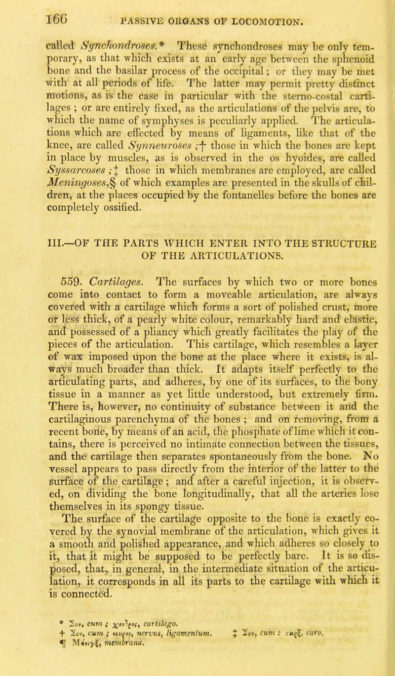 16G called Synchondroses.* These synchondroses may be only tem- porary, as that which exists at an early age between the sphenoid hone and the basilar process of the occipital; or they may be met with at all periods of life. The latter may permit pretty distinct motions, as is the case in particular with the sterno-costal carti- lages ; or are entirely fixed, as the articulations of the pelvis are, to which the name of symphyses is peculiarly applied. The articula- tions which are eftected by means of ligaments, like that of the knee, are called Synneuroses ,-j* those in which the bones are kept in place by muscles, as is observed in the os hyoides, are called Syssarcoses ; J those in which membranes are employed, are called Meningoses,§ of which examples are presented in the skulls of chil- dren, at the places occupied by the fontanelles before the bones are completely ossified. III.—OF THE PARTS WHICH ENTER INTO THE STRUCTURE OF THE ARTICULATIONS. 559. Cartilages. The surfaces by which two or more bones come into contact to form a moveable articulation, are always covered with a cartilage which forms a sort of polished crust, more oi less thick, of a pearly white colour, remarkably hard and elastic, and possessed of a pliancy which greatly facilitates the play of the pieces of the articulation. This cartilage, which resembles a layer of wax imposed upon the bone at the place where it exists, is al- ways much broader than thick. It adapts itself perfectly to the articulating parts, and adheres, by one of its surfaces, to the bony tissue in a manner as yet little understood, but extremely firm. There is, however, no continuity of substance between it and the cartilaginous parenchyma of the bones ; and on removing, from a recent borie, by means of an acid, the phosphate of lime which it con- tains, there is perceived no intimate connection between the tissues, and the cartilage then separates spontaneously from the bone. No vessel appears to pass directly from the interior of the latter to the surface of the cartilage; and after a careful injection, it is observ- ed, on dividing the bone longitudinally, that aU the arteries lose themselves in its spongy tissue. The surface of the cartilage opposite to the bone is exactly co- vered by the synovial membrane of the articulation, which gives it a smooth and polished appearance, and which adlieres so closely to it, that it might be supposed to be perfectly bare. It is so dis- posed, that, in general, in the intermediate situation of the articu- lation, it corresponds in all its parts to the cartilage with which it is connected. * CHIU { cai tilogo. + 2wv, cum ; nu^ov, ncnus, ligamenium. J cum : caro. ^ metnirana.