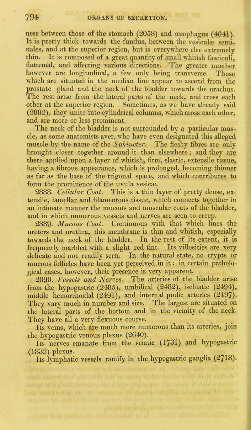 ness between those of the stomach (2058) and oesophagus (4041). It is pretty thick towards the fundus, between the vesiculai semi- nales, and at the superior region, but is everywhere else extremely thin. It is composed of a great quantity of small whitish fasciculi, flattened, and affecting various directions. The greater number however are longitudinal, a few only being transverse. Those which are situated in the median line appear to ascend from the prostate gland and the neck of the bladder towards the urachus. The rest arise from the lateral parts of the neck, and cross each other at the superior region. Sometimes, as we have already said (2882), they unite into cylindrical columns, which cross each other, and are more or less prominent. The neck of the bladder is not surrounded by a particular mus- cle, as some anatomists aver, who have even designated this alleged muscle by the name of the Sphincter. The fleshy fibres are only brought closer together around it than elsewhere; and they are there applied upon a layer of whitish, firm, elastic, extensile tissue, having a fibrous appearance, which is prolonged, becoming thinner as far as the base of the trigonal space, and which contributes to form the prominence of the uvula vesicas. 2888. Cellular Coat. This is a thin layer of pretty dense, ex- tensile, lamellar and filamentous tissue, which connects together in an intimate manner the mucovts and muscular coats of the bladder, and in which numerous vessels and nerves are seen to creep. 2889. Mucous Coat. Continuous with that which lines the ureters and urethra, this membrane is thin and whitish, especially towards the neck of the bladder. In the rest of its extent, it is frequently marbled with a slight red tint. Its villosities are very delicate and not readily seen. In the natural state, no crypts or mucous follicles have been yet perceived in it; in certain patholo- gical cases, however, their presence is very apparent. 2890. Vessels and Nerves. The arteries of the bladder arise from the hypogastric (2485), umbilical (2482), ischiatic (2494), middle hemorrhoidal (2491), and internal pu^c arteries (2497)- They vary much in number and size. The largest are situated on the lateral parts of the bottom and in the vicinity of the neck. They have all a very flexuous course. Its veins, which are much more numerous than its arteries, join the hypogastric venous plexus (2640). Its nerves emanate from the sciatic (1731) and hypogastric (1832) plexus. ^ Its lymphatic vessels ramify in the hypogastric ganglia (2718).