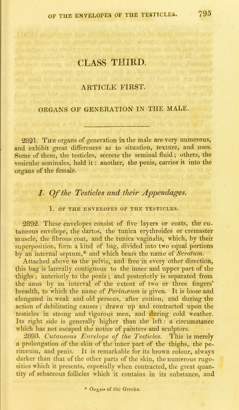 CLASS THIRD. ARTICLE FIRST. ORGANS OF GENERATION IN THE MALE. 2891. The organs of generation in the male are very numerous, and exhibit great differences as to situation, texture, and uses. Some of them, the testicles, secrete the seminal fluid; others, the vesiculm seminales, hold it: another, the penis, carries it into the organs of the female. L Of the Testicles and their Aiipendages, 1. OF THE ENVELOPES OF THE TESTICLES. 2892. These envelopes consist of five layers or coats, the cu- taneous envelope, the dartos, the tunica erythroides or cremaster muscle, the fibrous coat, and the tunica vaginalis, which, by their superposition, form a kind of bag, divided into two equal portions by an internal septum,* and which bears the name of Scrotum. Attached above to the pelvis, and free in every other direction, this bag is laterally contiguous to the inner and upper part of the thighs ; anteriorly to the penis ; and posteriorly is separated from the anus by an interval of the extent of two or three fingers’ breadth, to which the name of PerincEum is given. It is loose and elongated in weak and old persons, after coition, and during the action of debilitating causes ; drawn up and contracted upon the testicles in strong and vigorous men, and during cold weather. Its right side is generally higher than the left: a circumstance which has not escaped the notice of painters and sculptors. 2893. Cutaneous Envelope of the Testicles. This is merely a prolongation of the skin of the inner part of the thighs, the pe- rinaeum, and penis. It is remarkable for its brown colour, always darker than that of the other parts of the skin, the numerous rugo- sities which it presents, especially when contracted, the great quan- tity of sebaceous follicles which it contains in its substance, and • of the Greeks.