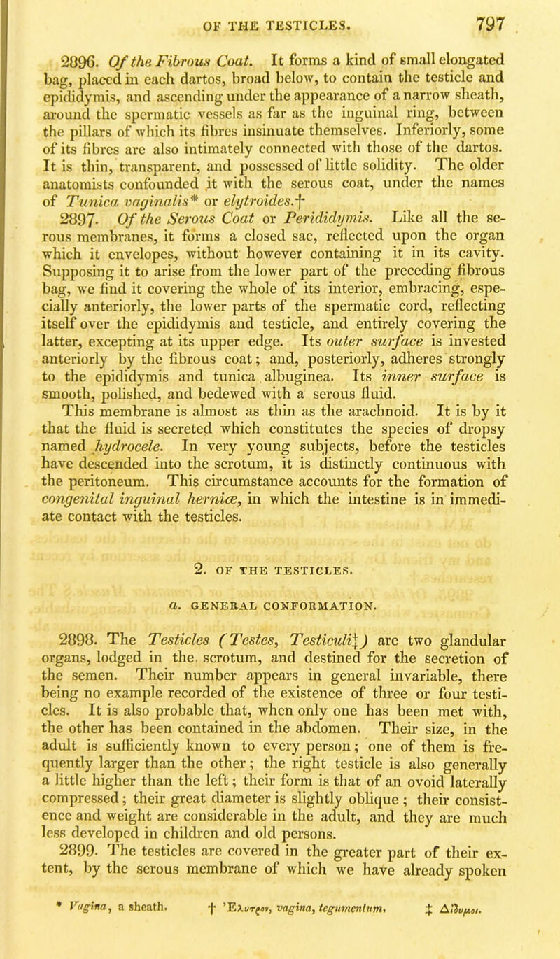 2896. 0/the Fibrous Coat. It forms a kind of small elongated bag, placed in each dartos, broad below, to contain the testicle and epiclidymis, and ascending under the appearance of a narrow sheath, around the spermatic vessels as far as the inguinal ring, between the pillars of which its fibres insinuate themselves. Inferiorly, some of its fibres are also intimately connected with those of the dartos. It is thin, transparent, and possessed oflittle solidity. The older anatomists confounded it with tlie serous coat, under the names of Tunica vaginalis* or elytroides.'f 2897- Q/* Serous Coat or Perididymis. Like all the se- rous membranes, it forms a closed sac, reflected upon the organ which it envelopes, without however containing it in its cavity. Supposing it to arise from the lower part of the preceding fibrous bag, we find it covering the whole of its interior, embracing, espe- cially anteriorly, the lower parts of the spermatic cord, reflecting itself over the epididymis and testicle, and entirely covering the latter, excepting at its upper edge. Its outer surface is invested anteriorly by the fibrous coat; and, posteriorly, adheres strongly to the epididymis and tunica albuginea. Its inner surface is smooth, polished, and bedewed with a serous fluid. This membrane is almost as thin as the arachnoid. It is by it that the fluid is secreted which constitutes the species of dropsy named hydrocele. In very young subjects, before the testicles have descended into the scrotum, it is distinctly continuous with the peritoneum. This circumstance accounts for the formation of congenital inguinal hernice, in which the intestine is in immedi- ate contact with the testicles. 2. OF THE TESTICLES. a. GENERAL CONFORMATION. 2898. The Testicles (Testes, Testiculi\) are two glandular organs, lodged in the. scrotum, and destined for the secretion of the semen. Their number appears in general invariable, there being no example recorded of the existence of three or four testi- cles. It is also probable that, when only one has been met with, the other has been contained in the abdomen. Their size, m the adult is sufficiently known to every person; one of them is fre- quently larger than the other; the right testicle is also generally a little higher than the left; their form is that of an ovoid laterally compressed; their great diameter is slightly oblique ; their consist- ence and weight are considerable in the adult, and they are much less developed in children and old persons. 2899. The testicles are covered in the greater part of their ex- tent, by the serous membrane of which we have already spoken • Vagina, a sheath. *j* vagina, tegumentum, 4^ A13u/ui>i.