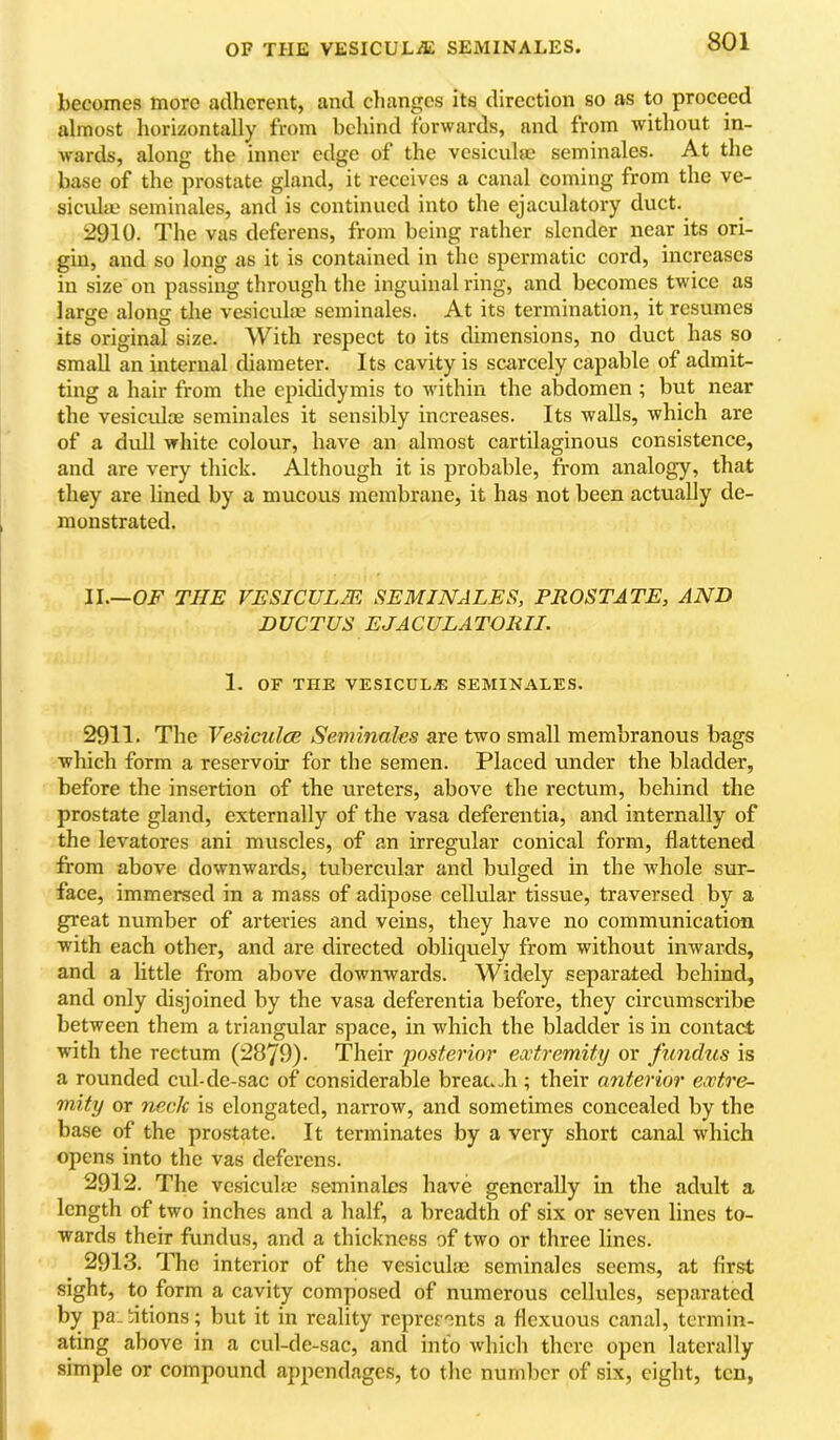 OF THE VESICULiE SEMINALES. becomes more adherent, and changes its direction so as to proceed almost horizontally from behind forwards, and from without in- wards, along the inner edge of the vcsicuhe seminales. At the base of the prostate gland, it receives a canal coming from the ve- sicular seminales, and is continued into the ejaculatory duct. 2910. The vas deferens, from being rather slender near its ori- gin, and so long as it is contained in the spermatic cord, increases in size on passing through the inguinal I’ing, and becomes twice as large along tlie vesicular seminales. At its termination, it resumes its original size. With respect to its dimensions, no duct has so small an internal diameter. Its cavity is scarcely capable of admit- ting a hair from the epididymis to within the abdomen ; but near the vesiculos seminales it sensibly increases. Its walls, which are of a dull white colour, have an almost cartilaginous consistence, and are very thick. Although it is probable, from analogy, that they are lined by a mucous membrane, it has not been actually de- monstrated. II.—OjP the vesiculm seminales, prostate, and DUCTUS EJACULATOlill. 1. OF THE VESICULM SEMINALES. 2911. The VesiculcB Seminales are two small membranous bags which form a reservoir for the semen. Placed under the bladder, before the insertion of the ureters, above the rectum, behind the prostate gland, externally of the vasa deferentia, and internally of the levatores ani muscles, of an irregular conical form, flattened from above downwards, tubercular and bulged in the whole sur- face, immersed in a mass of adipose cellular tissue, traversed by a great number of arteries and veins, they have no communication with each other, and are directed obliquely from without inwards, and a little from above downwards. Widely separated behind, and only disjoined by the vasa deferentia before, they circumscribe between them a triangular space, in which the bladder is in contact with the rectum (2879). Their posterior extremity or fundus is a rounded cul-de-sac of considerable breau.h ; their anterior extre- mity or neck is elongated, narrow, and sometimes concealed by the base of the prostate. It terminates by a very short canal which opens into the vas deferens. 2912. The vcsiculse seminales have generally in the adult a length of two inches and a half, a breadth of six or seven lines to- wards their fundus, and a thickness of two or three lines. 2913. The interior of the vesicuhe seminales seems, at first sight, to form a cavity composed of numerous cellules, separated by pa.titions; but it in reality represents a flexuous canal, termin- ating above in a cul-de-sac, and info which there open laterally simple or compound appendages, to the number of six, eight, ten,