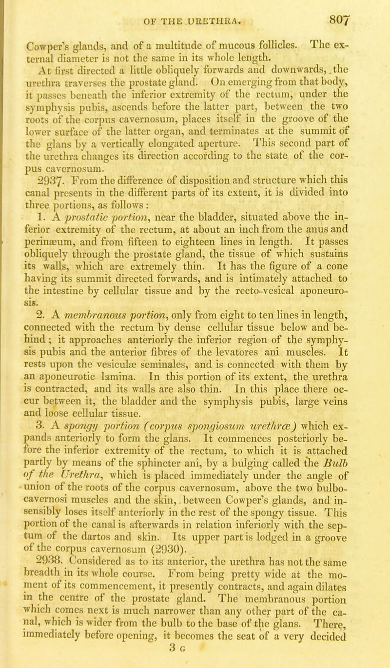 Cowpcr’s glands, and of a multitude of mucous follicles. The ex- ternal diameter is not the same in its whole length. At first directed a little obliquely forwards and downwards,. the urethra traverses the prostate gland. On emerging from that body, it passes beneath the inferior extremity of the rectum, under the symphysis pubis, ascends before the latter part, between the two roots of the corpus cavernosum, places itself in the groove of the lower surface of the latter organ, and terminates at the summit of the glans by a vertically elongated aperture. This second part of the urethra changes its direction according to the state of the cor- pus cavernosum. 2937. From the difference of disposition and structure which this canal presents in the different parts of its extent, it is divided into three portions, as follows : 1. A prustatic portion, near the bladder, situated above the in- ferior extremity of the rectum, at about an inch from the anus and perinaeum, and from fifteen to eighteen lines in length. It passes obliquely through the prostate gland, the tissue of which sustains its walls, which are extremely thin. It has the figure of a cone having its summit directed forwards, and is intimately attached to the intestine by cellular tissue and by the recto-vesical aponeuro- sis. 2. A inembranozts portion, only from eight to ten lines in length, connected with the rectum by dense cellular tissue below and be- hind ; it approaches anteriorly the inferior region of the symphy- sis pubis and the anterior fibres of the levatores ani muscles. It rests upon the vesiculm seminales, and is connected with them by an aponeurotic lamina. In this portion of its extent, the urethra is contracted, and its walls are also thin. In this place there oc- cur between it, the bladder and the symphysis pubis, large veins and loose cellular tissue. 3. A spongy portion (corpus spongiosum urethree) which ex- pands anteriorly to form the glans. It commences posteriorly be- fore the inferior extremity of the rectum, to which it is attached partly by means of the sphincter ani, by a bulging called the Bulb of the Urethra, which is placed immediately under the angle of union of the roots of the corpus cavernosum, above the two bulbo- cavernosi muscles and the skin,. between Cowper’s glands, and in- sensibly loses itself anteriorly in the rest of the spongy tissue. This portion of the canal is afterwards in relation inferiorly with the sep- tum of the dartos and skin. Its upper part is lodged in a groove of the corpus cavernosum (2930). 2938. Considered as to its anterior, the urethra has not the same breadth in its whole course. From being pretty wide at the mo- ment of its commencement, it presently contracts, and again dilates in the centre of the prostate gland. The membranous portion which comes next is much narrower than any other part of the ca- nal, which is wider from the bulb to the base of the glans. There, immediately before opening, it becomes the scat of a very decided 3 G