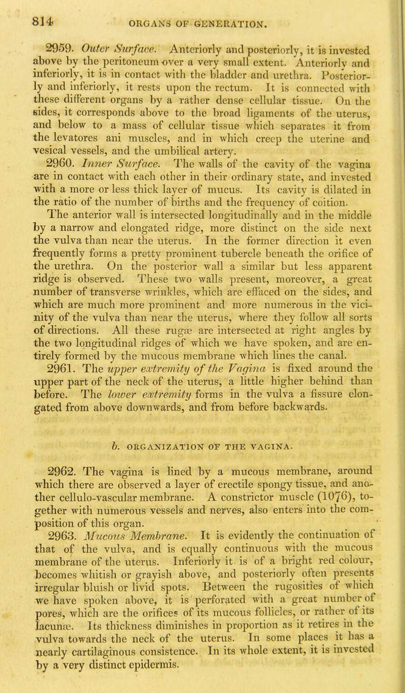 2959. Outer Surface. Anteriorly and posteriorly, it is invested above by the peritoneum -over a very small extent. Anteriorlv and inferiorly, it is in contact with the bladder and urethra. Posterior- ly and inferiorly, it rests upon the rectum. It is connected with these different organs by a rather dense cellular tissue. On the sides, it corresponds above to the broad ligaments of the uterus, and below to a mass of cellular tissue which separates it from the levatores ani muscles, and in which creep the uterine and vesical vessels, and the umbilical artery. 2960. Inner Surface. The walls of the cavity of the vagina are in contact with each other in their ordinary state, and invested with a more or less thick layer of mucus. Its cavity is dilated in the ratio of the number of births and the frequency of coition. The anterior wall is intersected longitudinally and in the middle by a narrow and elongated ridge, more distinct on the side next the vulva than near the uterus. In the former direction it even frequently forms a pretty prominent tubercle beneath the orifice of the urethra. On the posterior wall a similar but less apparent ridge is observed. These two walls present, moreover, a great number of transverse wrinkles, which are effaced on the sides, and which are much more prominent and more numerous in the vici- nity of the vulva than near the uterus, where they follow all sorts of directions. All these rugae are intersected at right angles by the two longitudinal ridges of which we have spoken, and are en- tirely formed by the mucous membrane which lines the canal. 2961. The upper extremity of the Vagina is fixed around the upper part of the neck of the uterus, a little higher behind than before. The lower extremity forms in the vulva a fissure elon- gated from above downwards, and from before backwards. h. ORGANIZATION OF THE VAGINA. 2962. The vagina is lined by a mucous membrane, around which there are observed a layer of erectile spongy tissue, and ano- ther cellulo-vascular membrane. A constrictor muscle (IO76), to- gether with numerous vessels and nerves, also enters mto the com- position of this organ. 2963. Mucous Membrane. It is evidently the continuation of that of the vulva, and is equally continuous with the mucous membrane of the uterus. Inferiorly it is of a bright red colour, becomes whitish or grayish above, and posteriorly often presents irregular bluish or livid spots. Between the rugosities of which we have spoken above, it is perforated with a great number of pores, which are the orifices of its mucous follicles, or rather of its iacume. Its thickness diminishes in proportion as it retires in the vulva towards the neck of the uterus. In some places it has a neai'ly cartilaginous consistence. In its whole extent, it is invested by a very distinct epidermis.