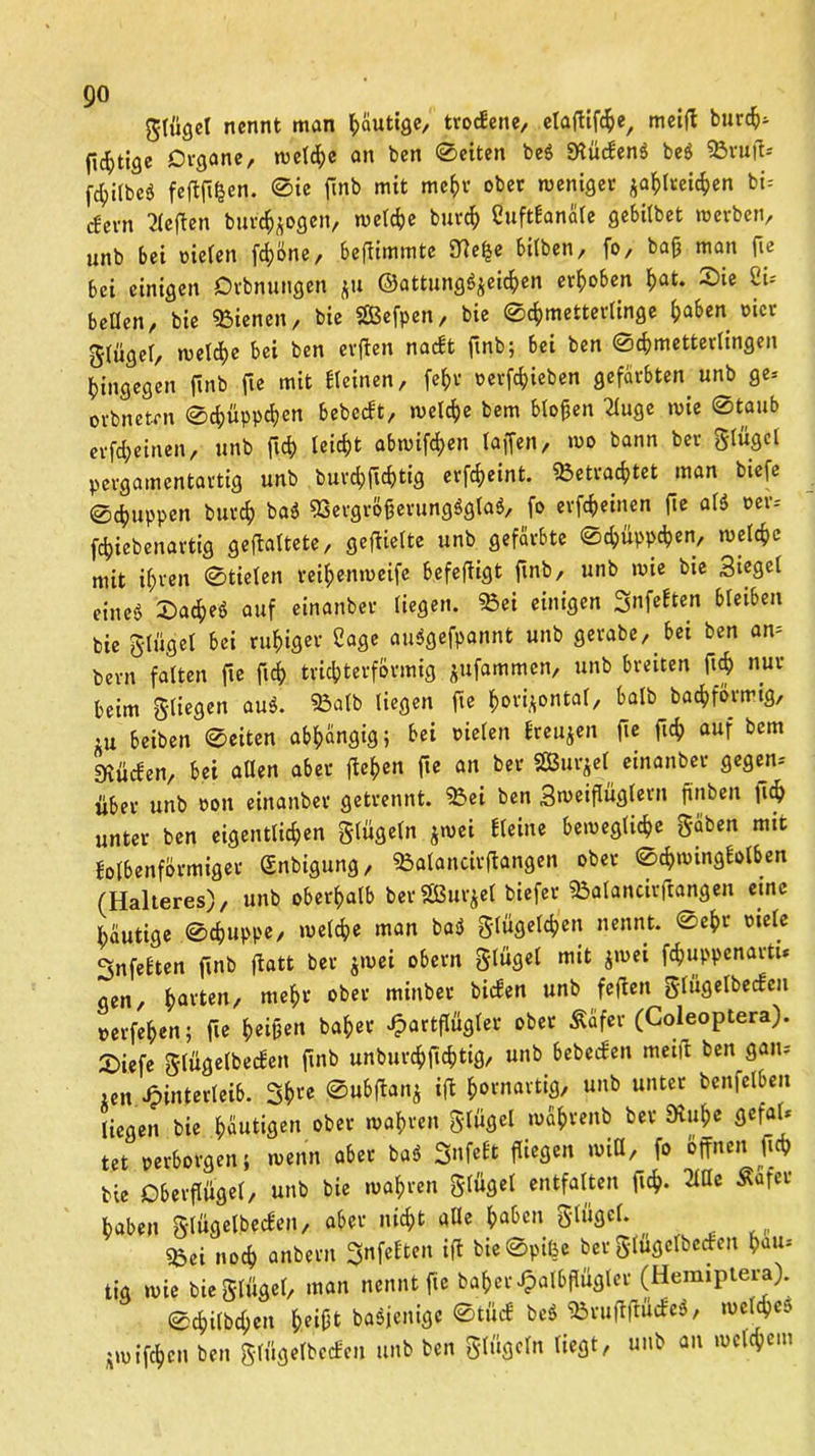 glügel nennt man häutige, trockene, elaftif^e, meid burch* (ic^tige Organe, welche an ben ©eiten be$ SKückenä be$ SBrud* fc^itbcö feftfifcen. ©ie ftnb mit mehr ober weniger zahlreichen bi» (fern heften bur^ogen, welche burch Cuftkanäle gebilbet werben, unb bei »ielen fcf)öne, beflimmte 9defje bilben, fo, bap man fie bei einigen Orbnungen ju ©attung^eiepen erhoben h«t. Sie 8i* bellen, bie «Bienen, bie SBefpen, bie ©c^metterlinge paben »icr glügel, welche bei ben erften nackt ftnb; bei ben Schmetterlingen hingegen finb fie mit Keinen, fe^v o er Rieben gefärbten unb ge» orbnetrn ©chüppchen bebcckt, welche bem blopen 2luge wie ©taub erfcheinen, unb ftch leicht abwifchen (affen, wo bann ber glügel pergamentartig unb burchfätig erfcheint. «Betrachtet man biefe ©chuppen burch ba$ «Bergröperunggglaä, fo erfcheinen fie aß »er* fchiebenartig geflaltete, gedielte unb gefärbte ©Süppchen, welche mit il;ren ©tiefen reihenweife befedigt finb, unb wie bie Siegel eine* Sacheö auf einanber liegen. «Bei einigen Snfeften bleiben bie glügel bei ruhiger Hage auSgefpannt unb gerabe, bei ben an= bem falten fie fiep trichterförmig jufammen, unb breiten (ich nur beim fliegen au$. «Balb liegen fte horizontal, halb bachförmig, ru beiben ©eiten abhängig; bei rielen kreuzen fte ftch auf bem «Kücken, bei allen aber flehen fie an ber «Bürzel einanber gegen- über unb »on einanber getrennt. $3ei ben Smeiflüglern ftrtben ftch unter ben eigentlichen glügeln z>vei Keine bewegliche gäben mit kolbenförmiger Snbigung, ^Balancirdongen ober ©chwingblben (Halteres), unb oberhalb ber «Bürzel tiefer «Balanciiftangen eine häutige ©chuppe, welche man ba<5 glügelchen nennt, ©ehr »iele SnfeEten fmb d«« bev 0&cm ^ügel $mei föwnftvtl* gen, hai'ten, mc^*r ober minber bicken unb feden glügelbecken »erfehen; fie heipen bähet £artflügler ober Ääfer (Coleoptera). £>iefe glügelbecken finb unbuvchftchtig, unb bebecken meid ben gan» ien Hinterleib. 3hl'e Subdanj id hornartig, unb unter benfelbeit liegen bie häutigen ober wahren glügel währenb bev 9rul;c gcfaU tet »erborgen; wenn aber ba$ Snfel't fliegen will, fo offnen ftch bie Oberflügel, unb bie wahren glügel entfalten ftch- 2Mc Äafer haben glügelbecken, aber nicht alle hüben glügel. «Bei noch anbem ^nfeften id bie ©pifoe ber glügelbecken h<»»* tig wie bie glügel, man nennt fte baher Halbflügler (Hemiptera). ©chitbchen heißt beseitige Stück be$ SörufifHtöe«, zwifchen ben glügelbecken unb ben glügeln liegt, unb an welchem