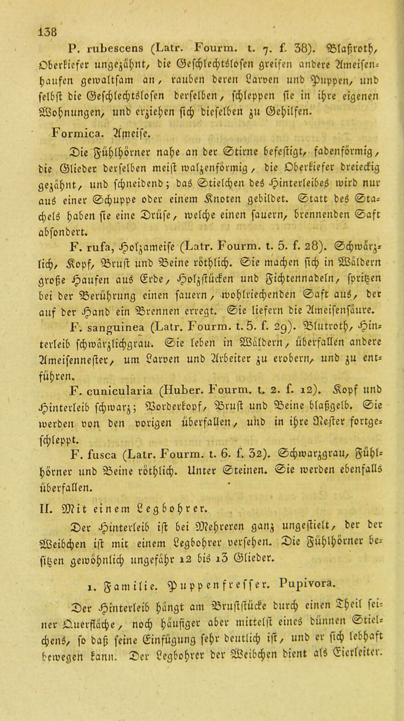 P. rubescens (Latr. Fourm. t. 7. f. 38). fölafjrotf), Dberbiefer ungejafyttt, bie ©efc^fcd^törofen greifen anbere 21meifen= Raufen gewaltfam an / rauben bereu Partien unb puppen/ unb felbft bie ©efcf)led)tSlofen berfelben, fcfjleppett fte in i£re eigenen Sßofcnungen, unb cr^icljen ftcf) biefelben £tt ©efjilfen. Formica. 2lmeifc. Sie güf>lf)örner nal;e an ber 0tirne befeffigt, fabenförmig, bie ©lieber berfelben meift walzenförmig , bie Oberbiefer breiecfig ge^nt, unb fcf>ncibenb; baS 0tield;en beS Hinterleibes wirb nur auS einer 0cf>uppe ober einem knoten gebilbet. 0tatt beS 0ta* d;elS t)aben fte eine Stufe, welche einen fauern, brennenben 0aft abfonbert. F. rufa, ^o^ameife (Latr. Fourm. t. 5. f. 28). 0d)mar£* lief), ^opf, 93ruft unb 23eine rötfdi’ef). 0ie machen fxrf> in SBalberit grofe Raufen auS Srbe, ^o^ftücfen unb gid)tennabeln, fpri^en bei ber 23erüf>rung einen fauern, wofüriecfyenben 0aft auä, ber auf ber Jpanb ein trennen erregt. 0ie liefern bie 2Imeifenfaure. F. sanguinea (Latr. Fourm. t. 5. f. 2g). 53lutrotf), Jjuu terleib fc^mar^ic^grau. 0ie leben in S&albern, überfaden anbere 2lmeifennefter, um Caroen unb Arbeiter $u erobern, unb $u ent* führen. F. cunicularia (Huber. Fourm. t, 2. f. 12). Äopf unb Hinterleib fd)marj; 93orberbopf, Söruft unb 93eine blaftgelb. 0ie werben oon ben vorigen überfallen, uttb in if>re Diefrer fortge* fdjleppt. F. fusca (Latr. Fourm. t. 6. f. 32). 0cf>warzgrau, gufcb fjörner unb teilte rötfclicf). Unter ©teilten. 0ie werben ebenfalls überfallen. II. 50?it einem ßegbofjrer. Ser Hinterleib ift bei 90?efjreren ganz ungefiielt, ber ber Sßcibcfyen ift mit einem 2egbof>rer uerfe^en. Sie güfü^ötner bc* ft§en gemö^nlidj ungefähr 12 bis i3 ©lieber. 1. gamilie. u p p en f r eff er. Pupivora. Ser Hinterleib f)angt am »Bruflffücbe burcf) einen Sfceil fei* ner £>.uerfläcf)e, nod> fcauftger aber mittelfl eine« bünnen Stiel* cfoenS, fo bajj feine Einfügung fefcr beutlid? ift, unb er ftef) lebhaft bewegen bann. Ser Hcgbo^rcr ber fSBeibc^ien bient als (Jicrleitci.